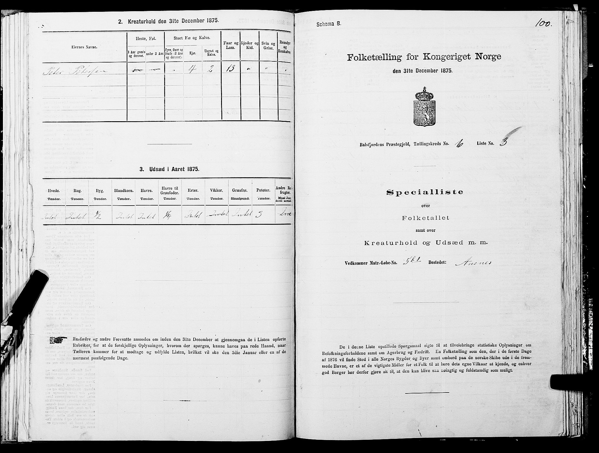 SATØ, 1875 census for 1933P Balsfjord, 1875, p. 3100