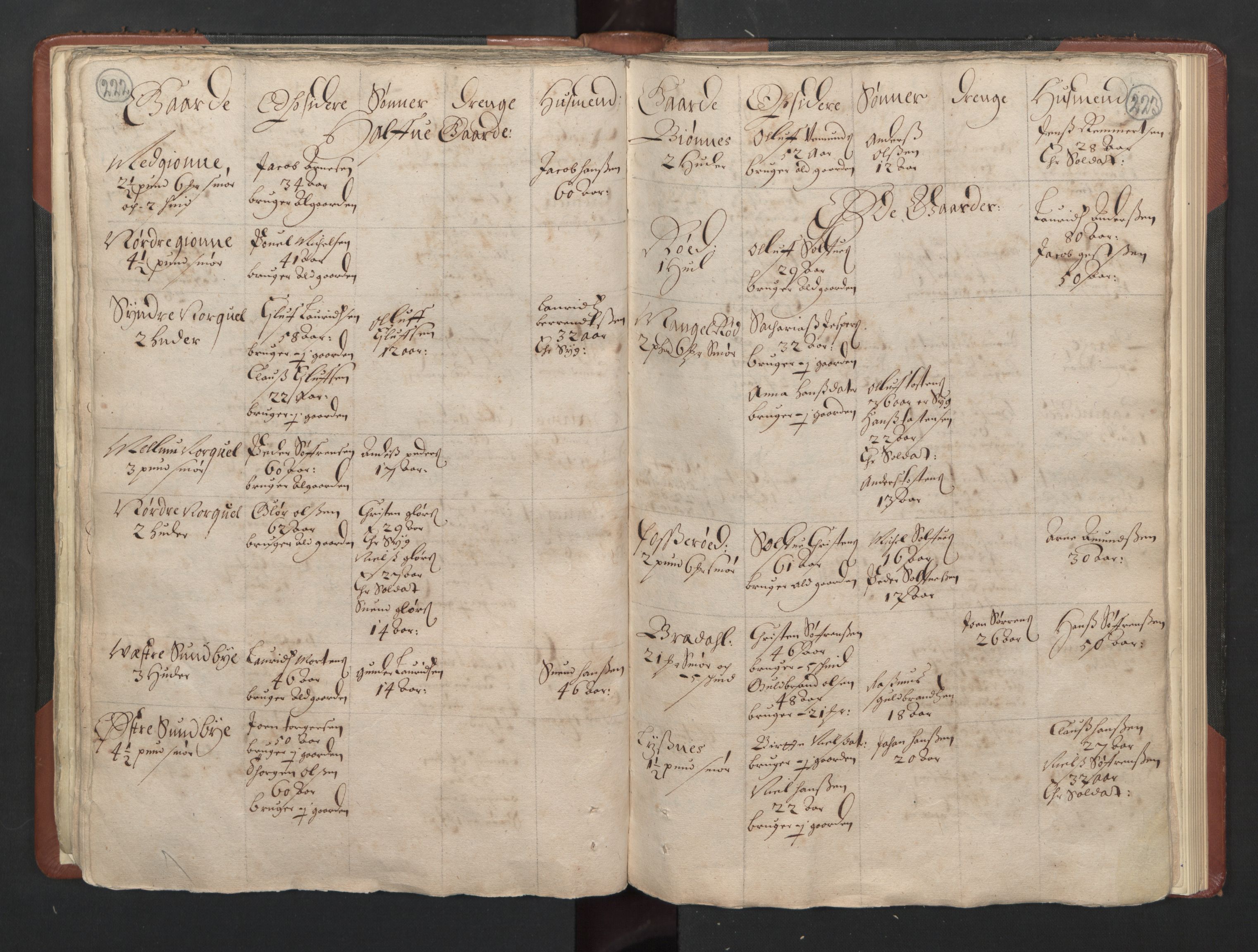 RA, Bailiff's Census 1664-1666, no. 5: Modern Buskerud county and modern Vestfold county, 1664, p. 222-223