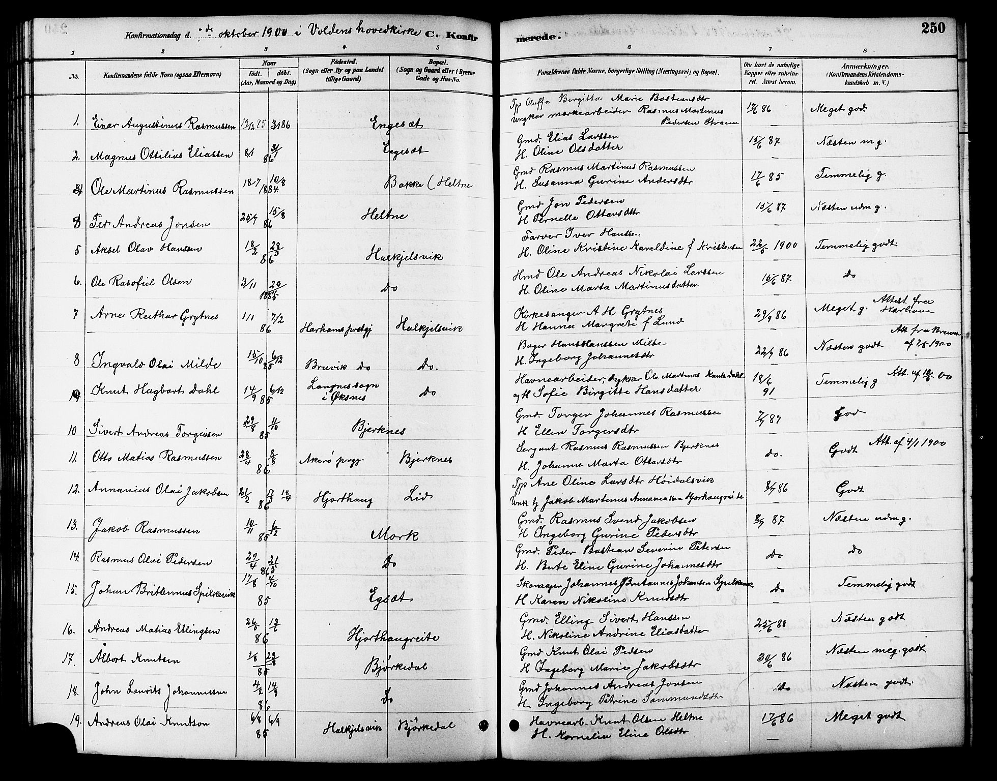 Ministerialprotokoller, klokkerbøker og fødselsregistre - Møre og Romsdal, AV/SAT-A-1454/511/L0158: Parish register (copy) no. 511C04, 1884-1903, p. 250