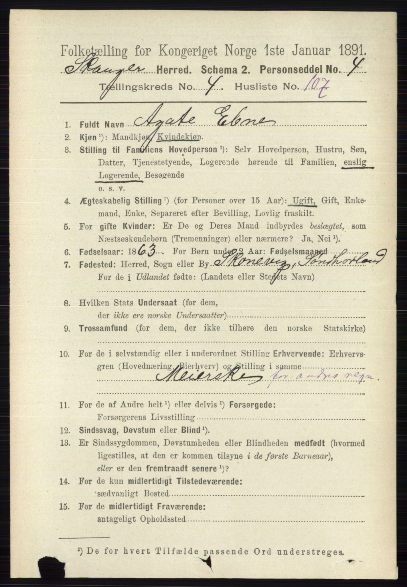 RA, 1891 census for 0712 Skoger, 1891, p. 3004