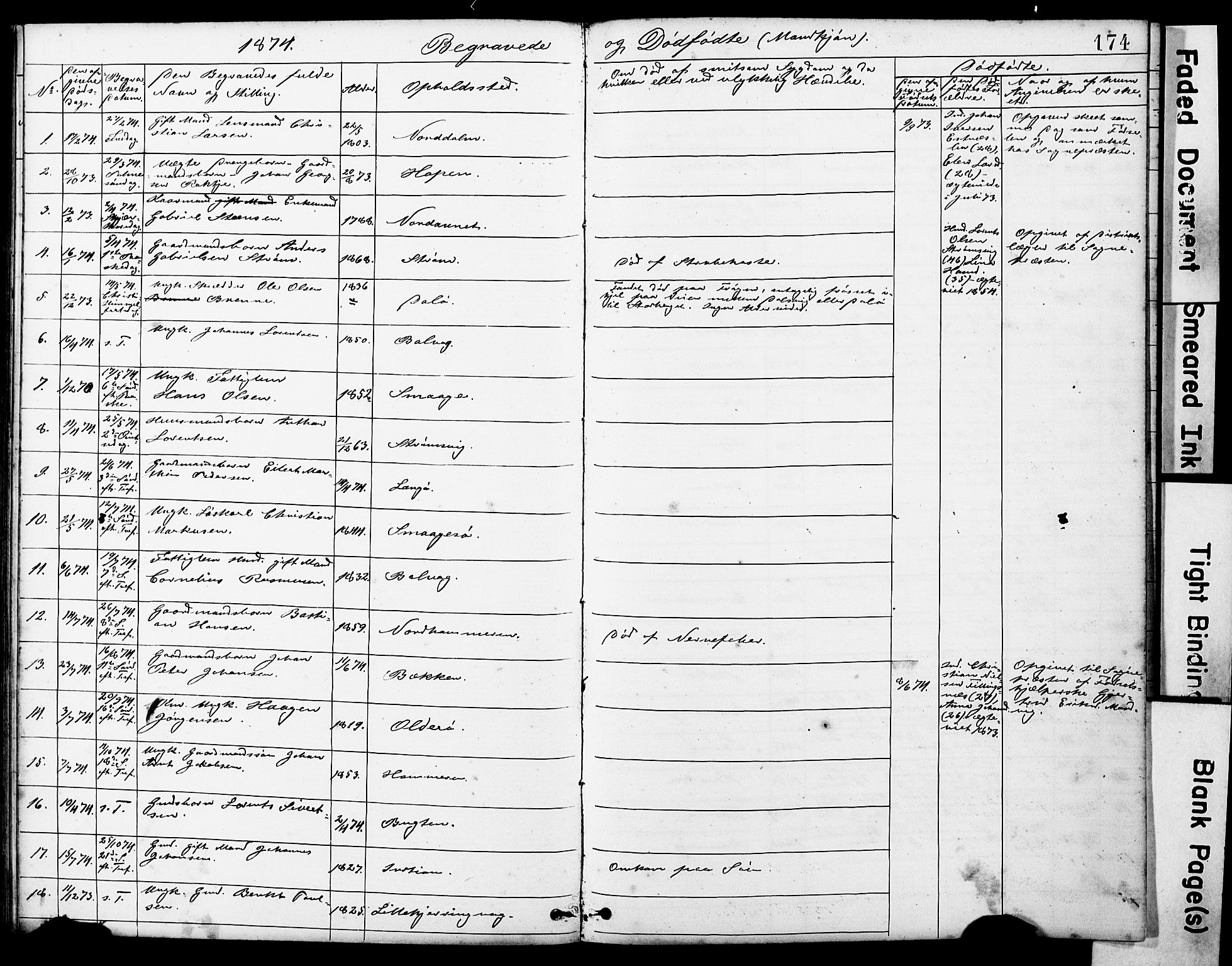 Ministerialprotokoller, klokkerbøker og fødselsregistre - Sør-Trøndelag, SAT/A-1456/634/L0541: Parish register (copy) no. 634C03, 1874-1891, p. 174