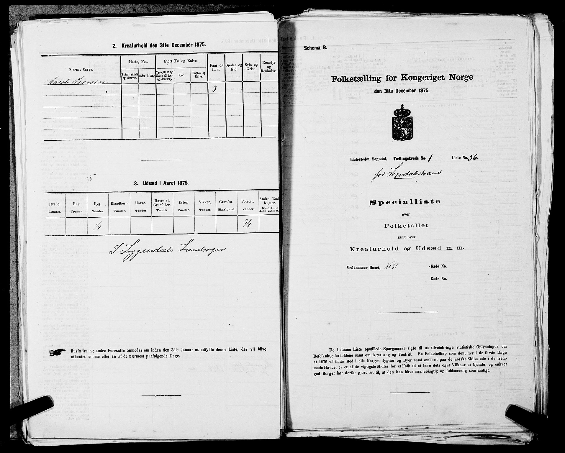 SAST, 1875 census for 1107B Sokndal/Sokndal, 1875, p. 115