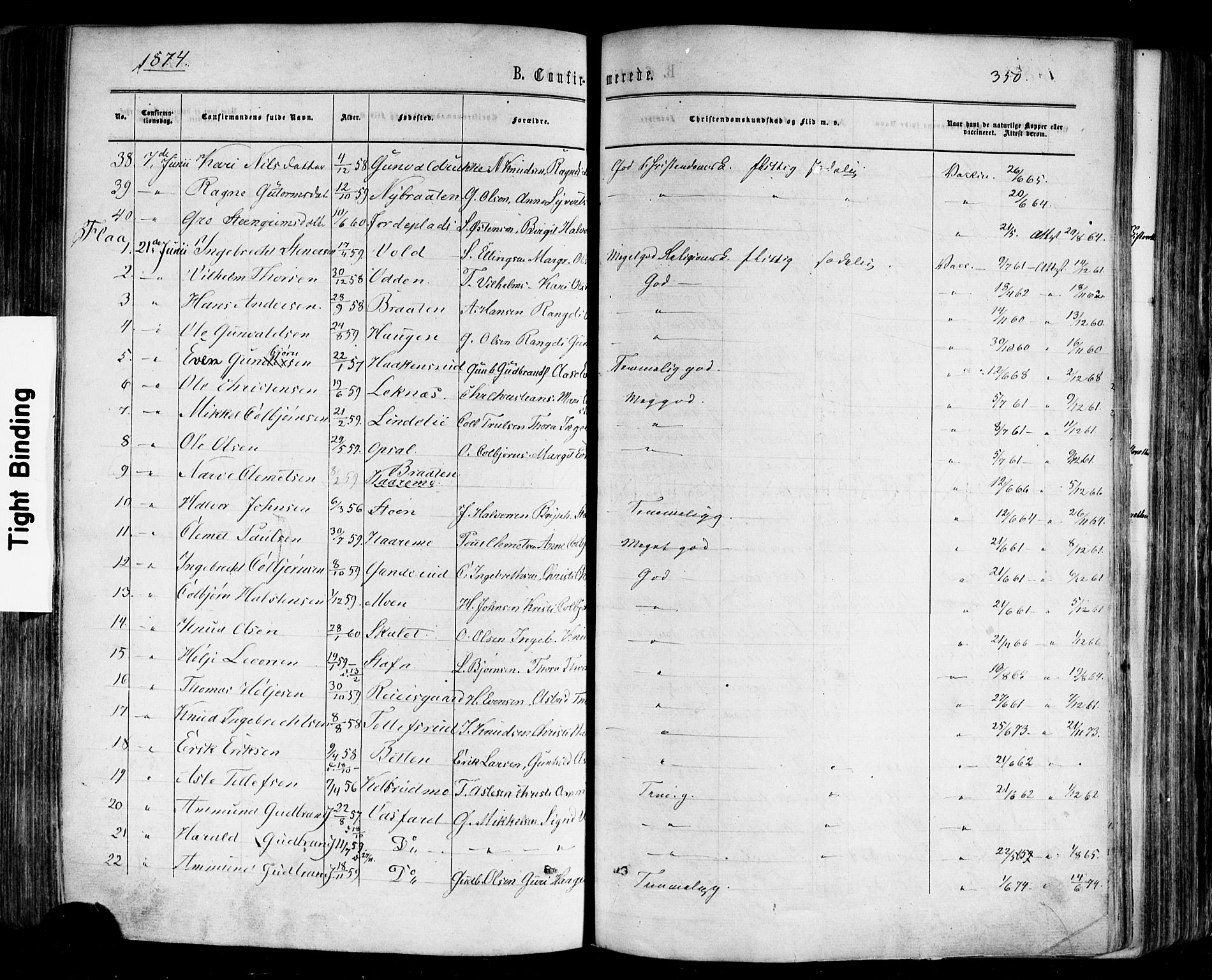 Nes kirkebøker, AV/SAKO-A-236/F/Fa/L0010: Parish register (official) no. 10, 1864-1880, p. 350