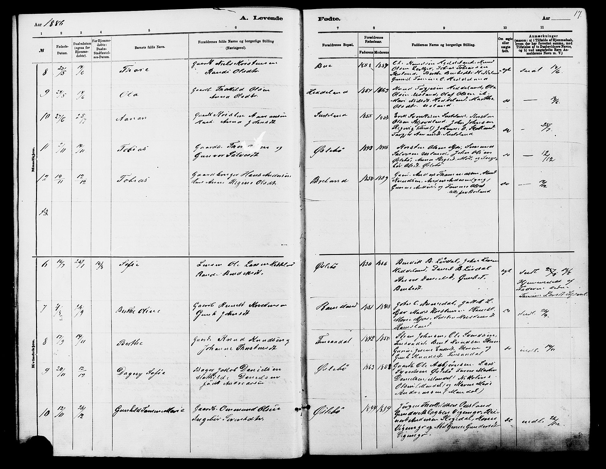 Holum sokneprestkontor, SAK/1111-0022/F/Fb/Fbc/L0003: Parish register (copy) no. B 3, 1882-1908, p. 17