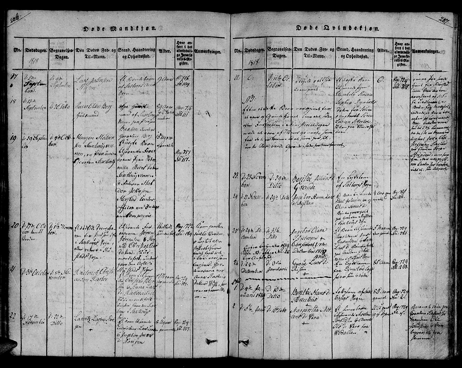 Ministerialprotokoller, klokkerbøker og fødselsregistre - Nord-Trøndelag, SAT/A-1458/730/L0275: Parish register (official) no. 730A04, 1816-1822, p. 206-207