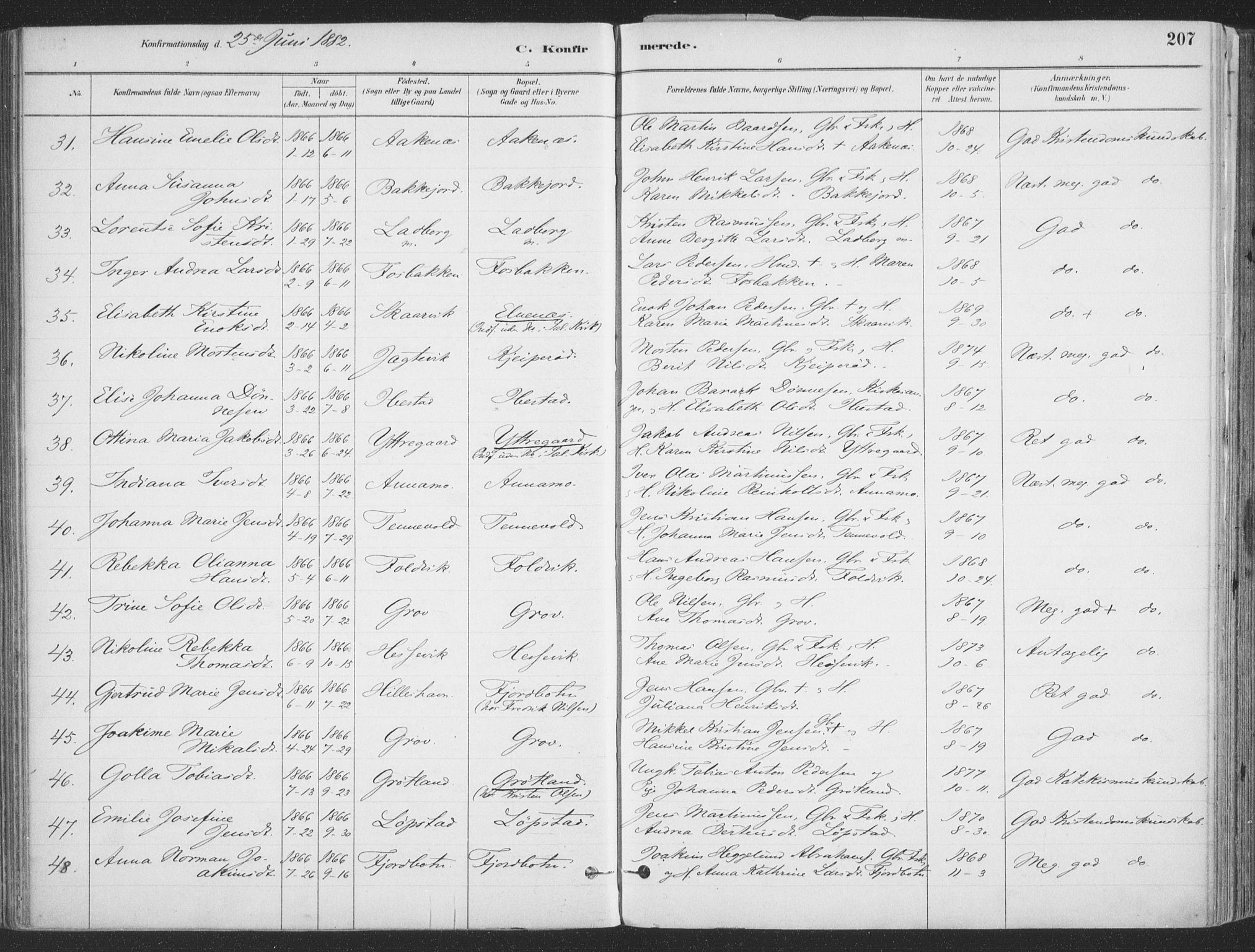 Ibestad sokneprestembete, AV/SATØ-S-0077/H/Ha/Haa/L0011kirke: Parish register (official) no. 11, 1880-1889, p. 207