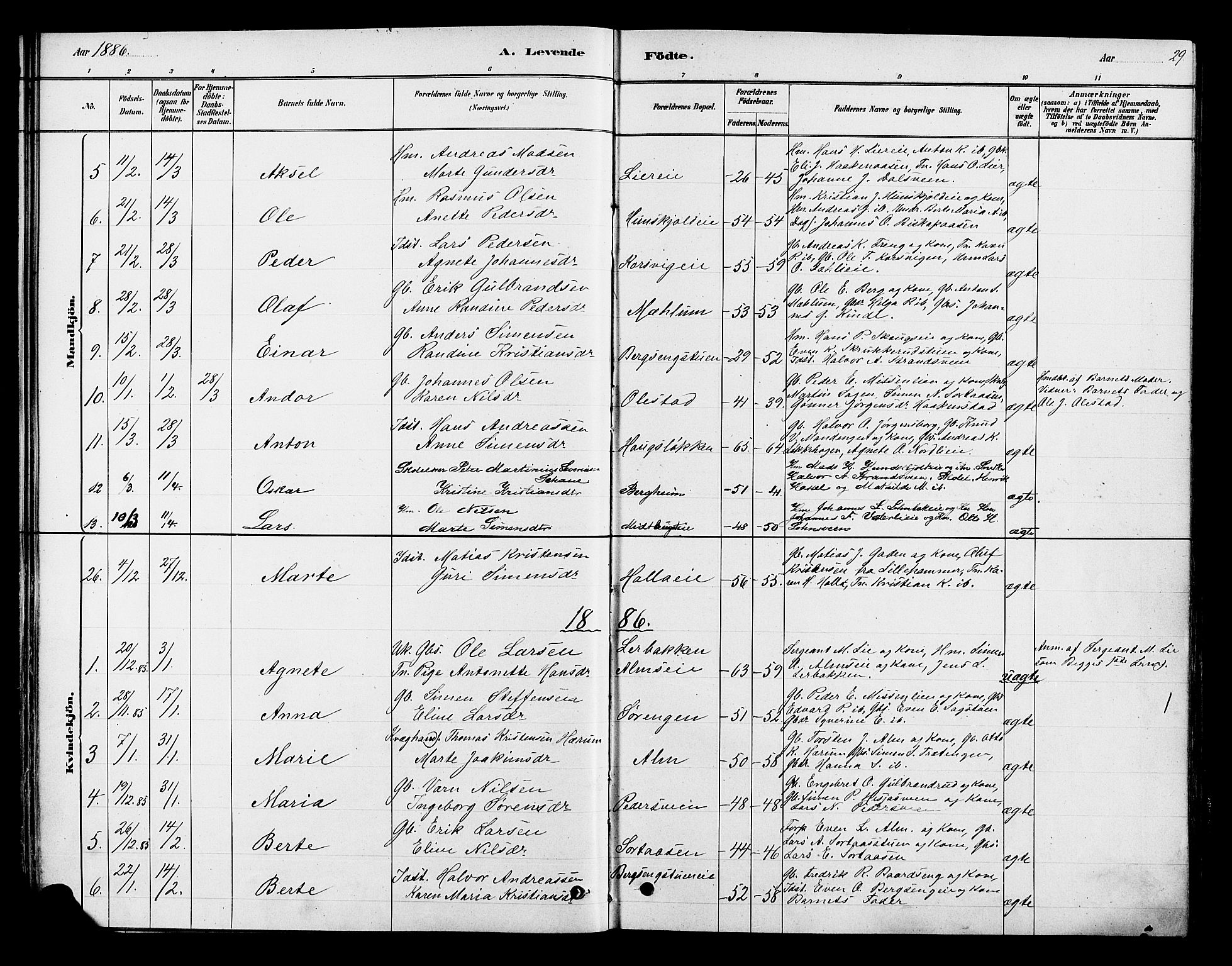 Ringsaker prestekontor, AV/SAH-PREST-014/K/Ka/L0013: Parish register (official) no. 13, 1879-1890, p. 29