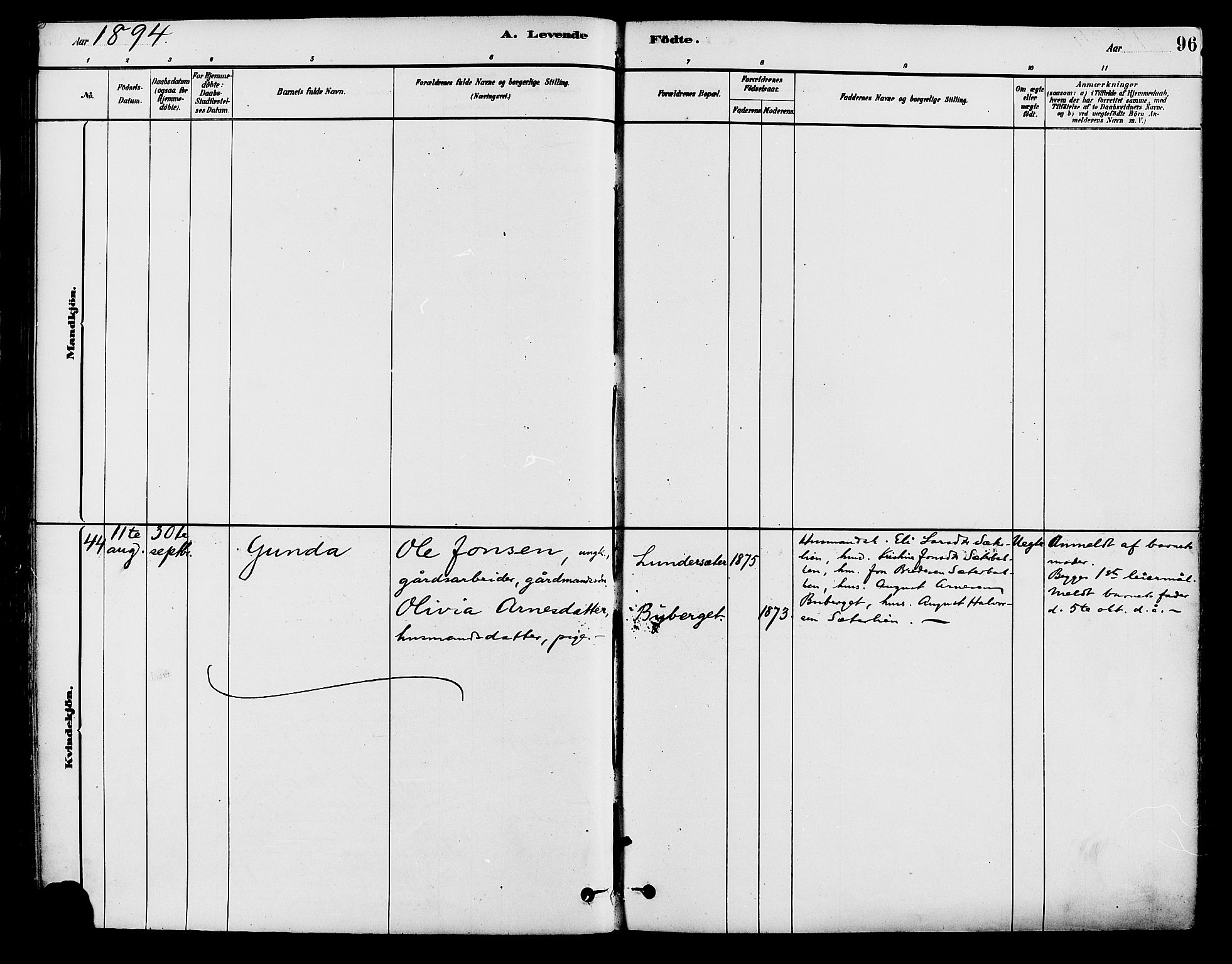 Brandval prestekontor, AV/SAH-PREST-034/H/Ha/Haa/L0002: Parish register (official) no. 2, 1880-1894, p. 96