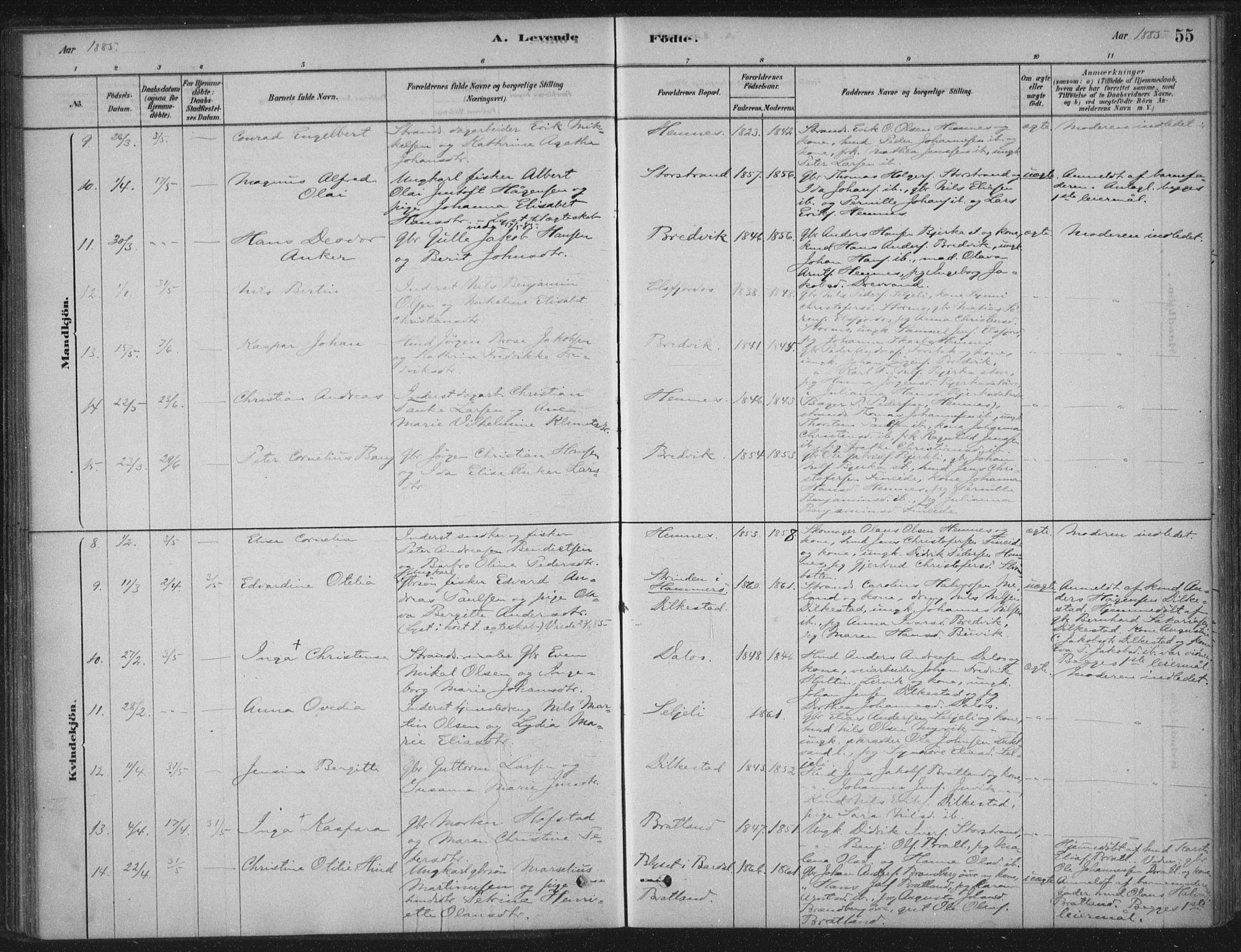 Ministerialprotokoller, klokkerbøker og fødselsregistre - Nordland, AV/SAT-A-1459/825/L0361: Parish register (official) no. 825A15, 1878-1893, p. 55