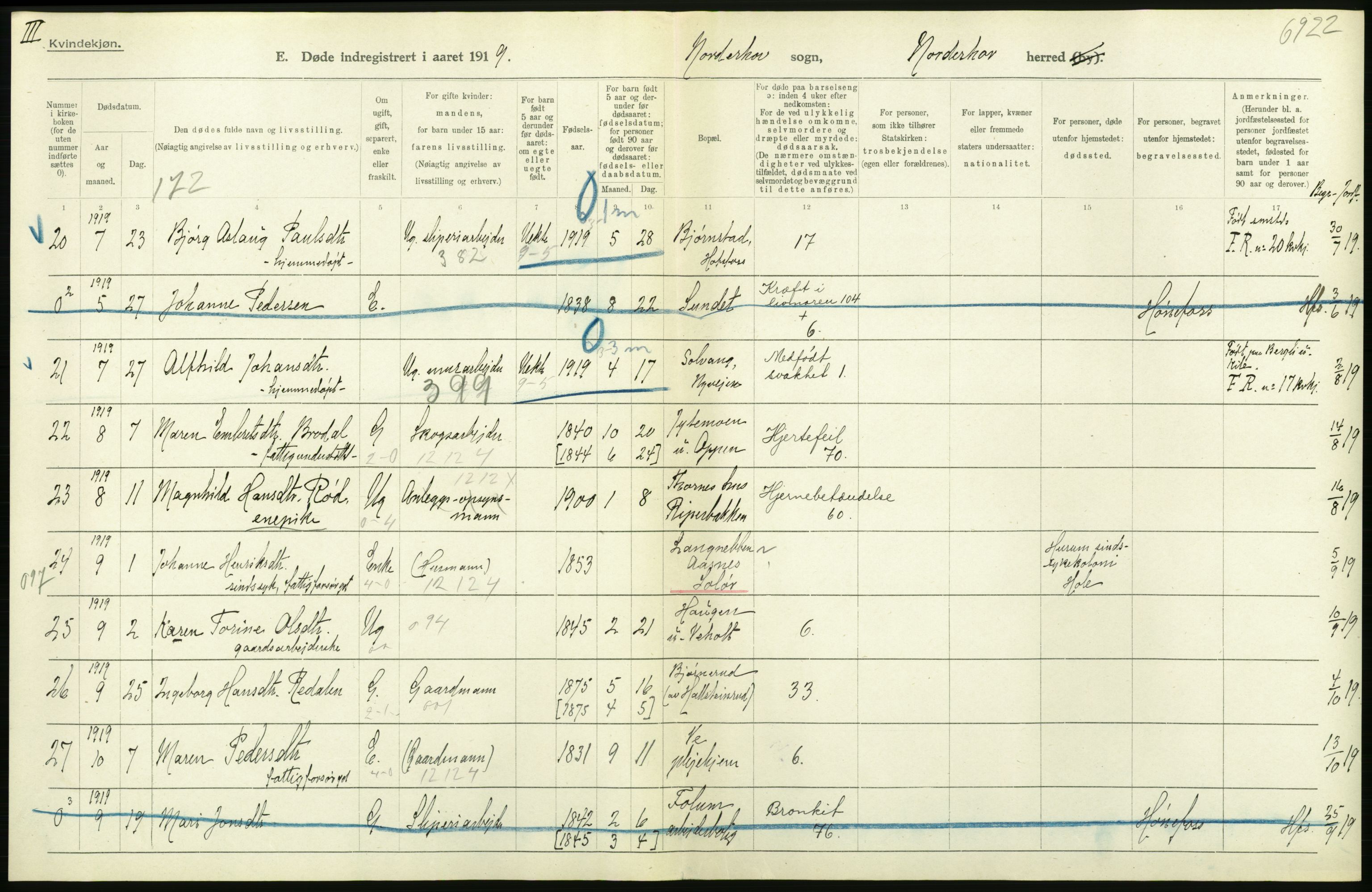 Statistisk sentralbyrå, Sosiodemografiske emner, Befolkning, AV/RA-S-2228/D/Df/Dfb/Dfbi/L0018: Buskerud fylke: Døde. Bygder og byer., 1919, p. 22