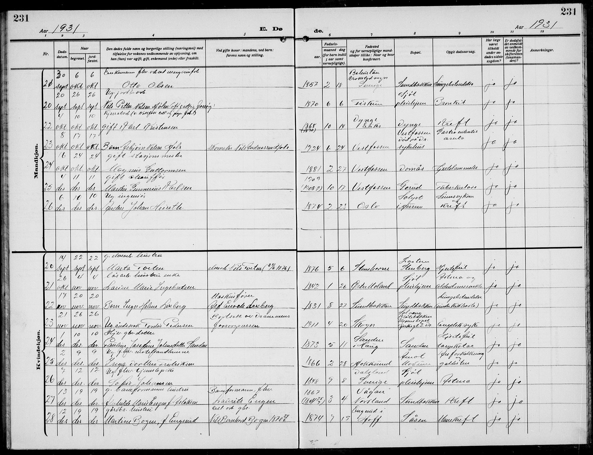 Eiker kirkebøker, AV/SAKO-A-4/G/Ga/L0010: Parish register (copy) no. I 10, 1925-1934, p. 231