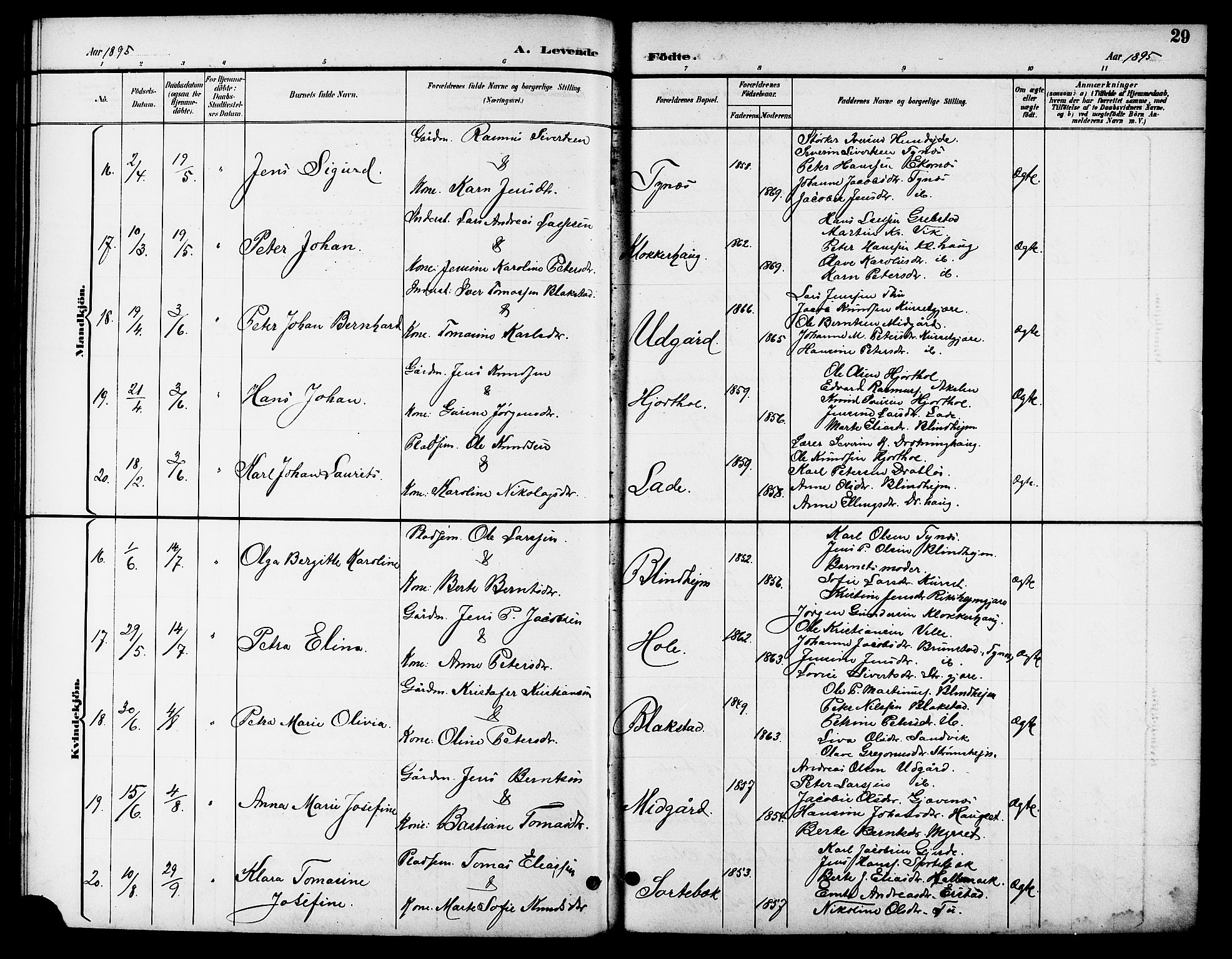 Ministerialprotokoller, klokkerbøker og fødselsregistre - Møre og Romsdal, AV/SAT-A-1454/523/L0340: Parish register (copy) no. 523C03, 1892-1902, p. 29