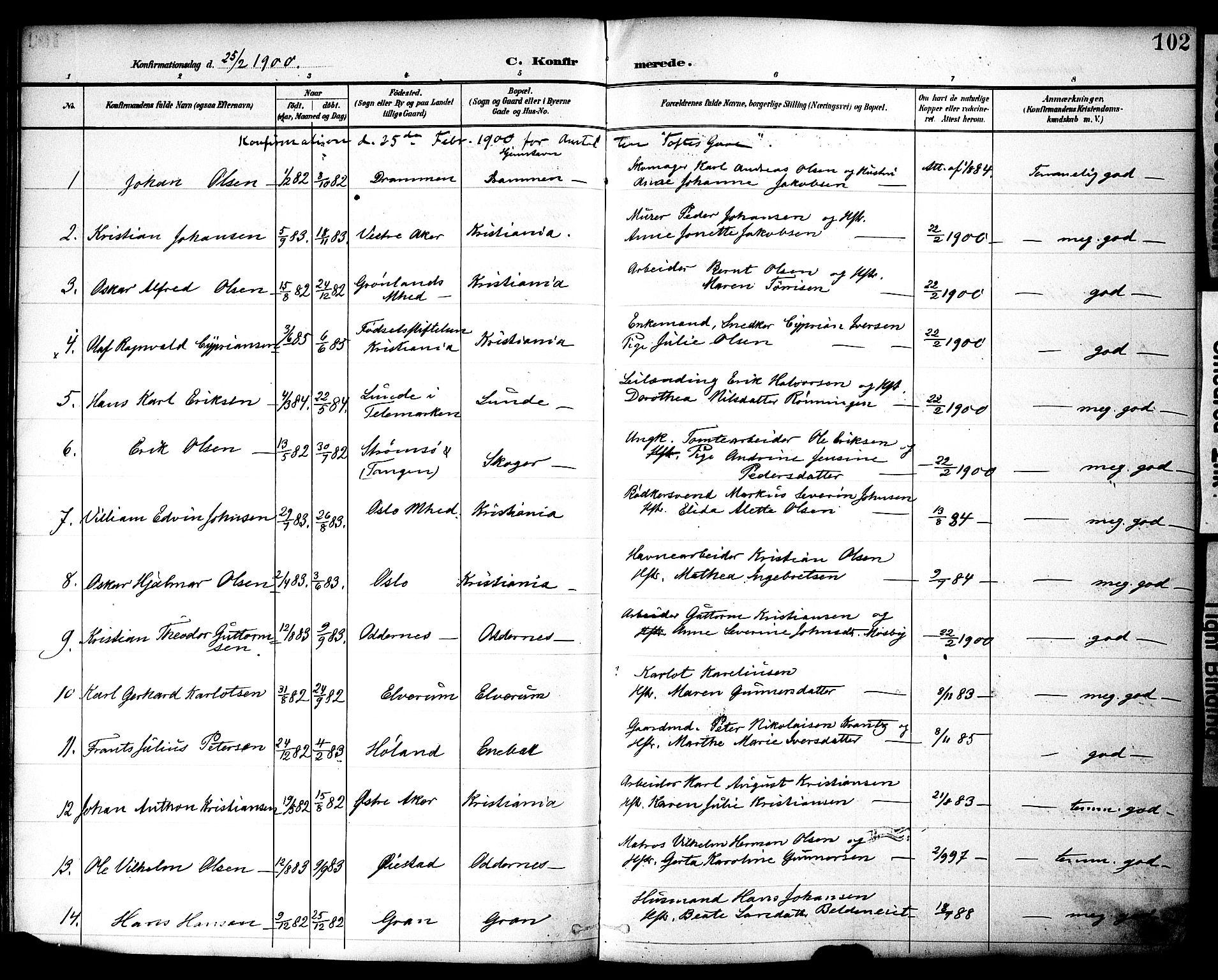 Nes prestekontor, Hedmark, AV/SAH-PREST-020/K/Ka/L0010: Parish register (official) no. 10, 1887-1905, p. 102