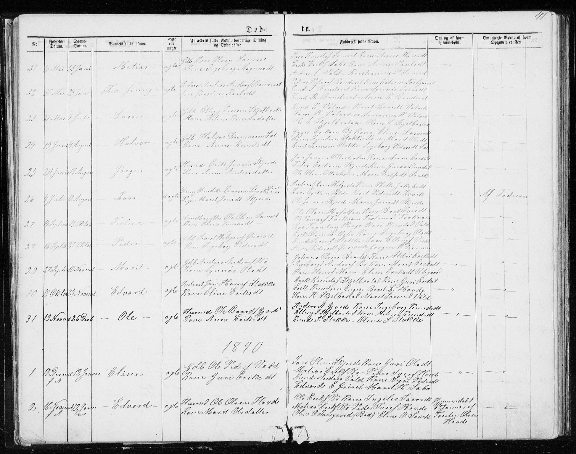 Ministerialprotokoller, klokkerbøker og fødselsregistre - Møre og Romsdal, SAT/A-1454/543/L0564: Parish register (copy) no. 543C02, 1867-1915, p. 41