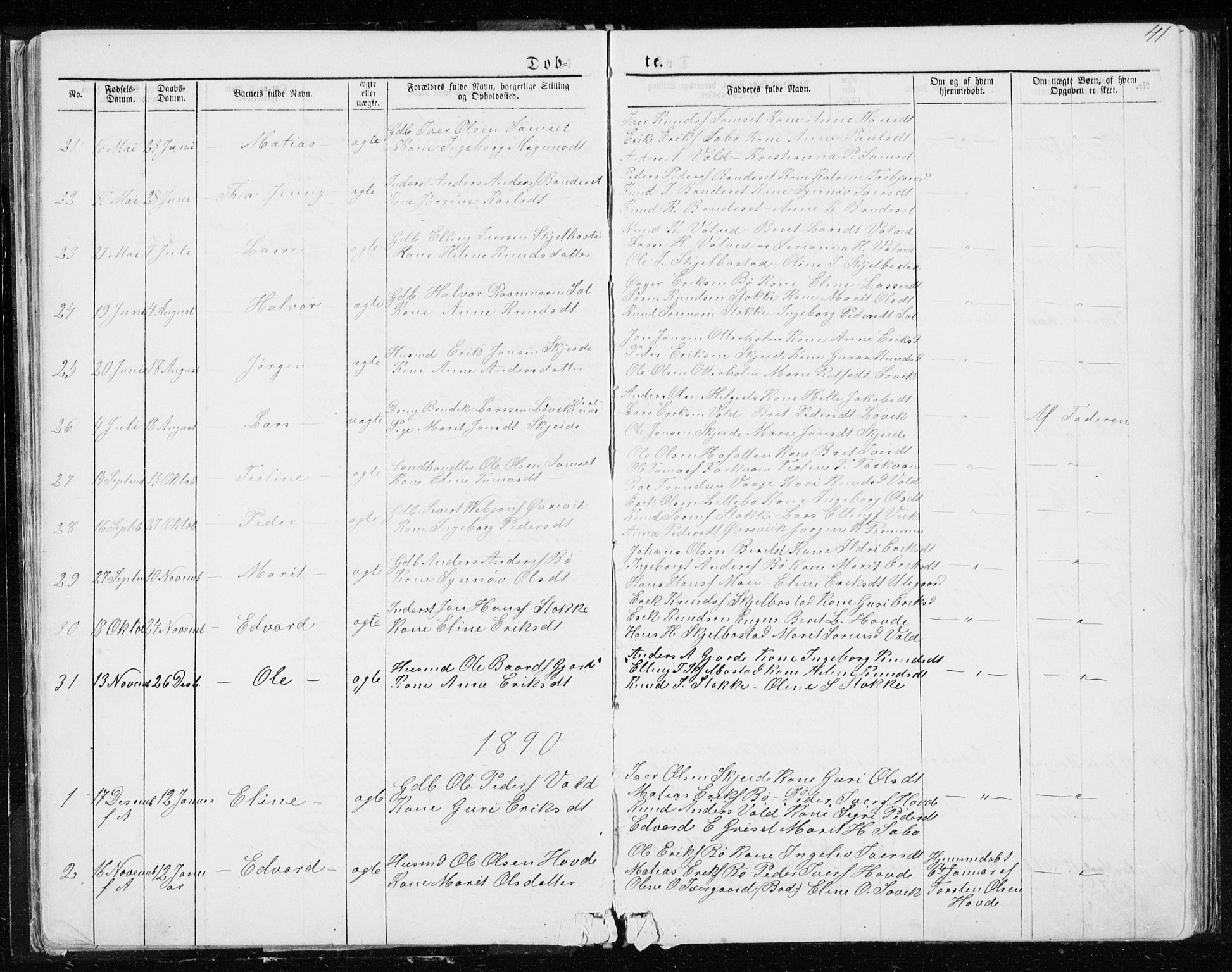 Ministerialprotokoller, klokkerbøker og fødselsregistre - Møre og Romsdal, AV/SAT-A-1454/543/L0564: Parish register (copy) no. 543C02, 1867-1915, p. 41