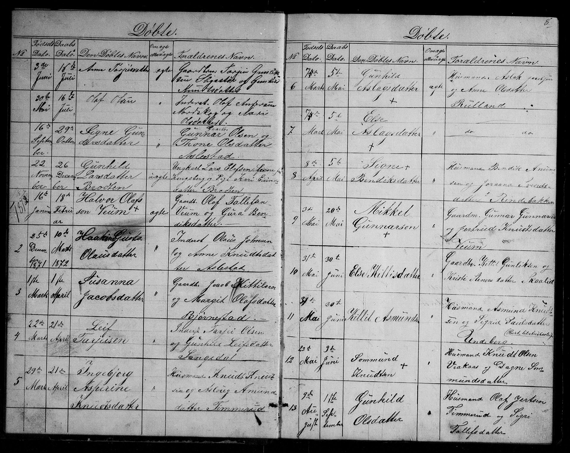 Fyresdal kirkebøker, SAKO/A-263/G/Gb/L0001: Parish register (copy) no. II 1, 1864-1890, p. 8