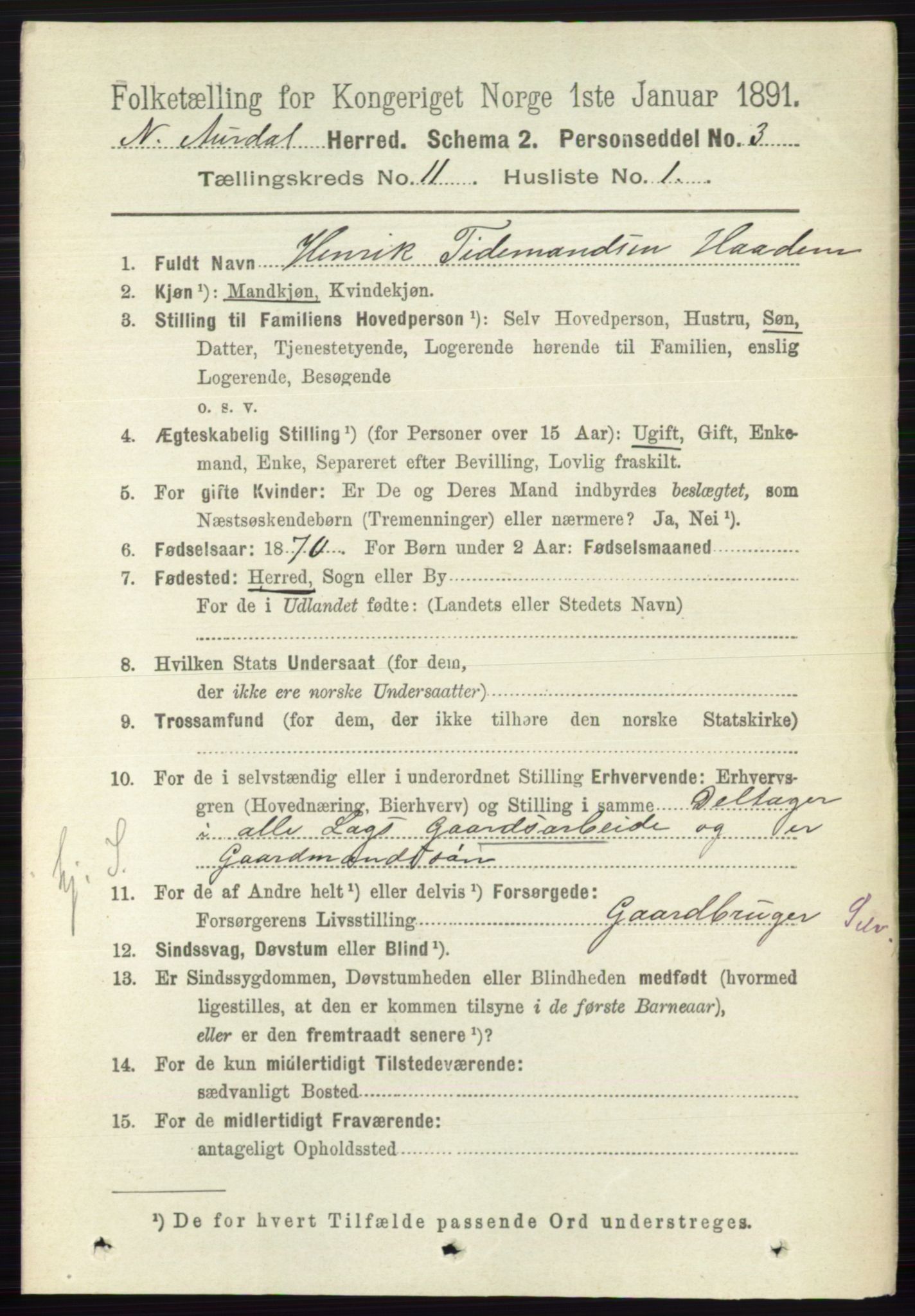 RA, 1891 census for 0542 Nord-Aurdal, 1891, p. 4117