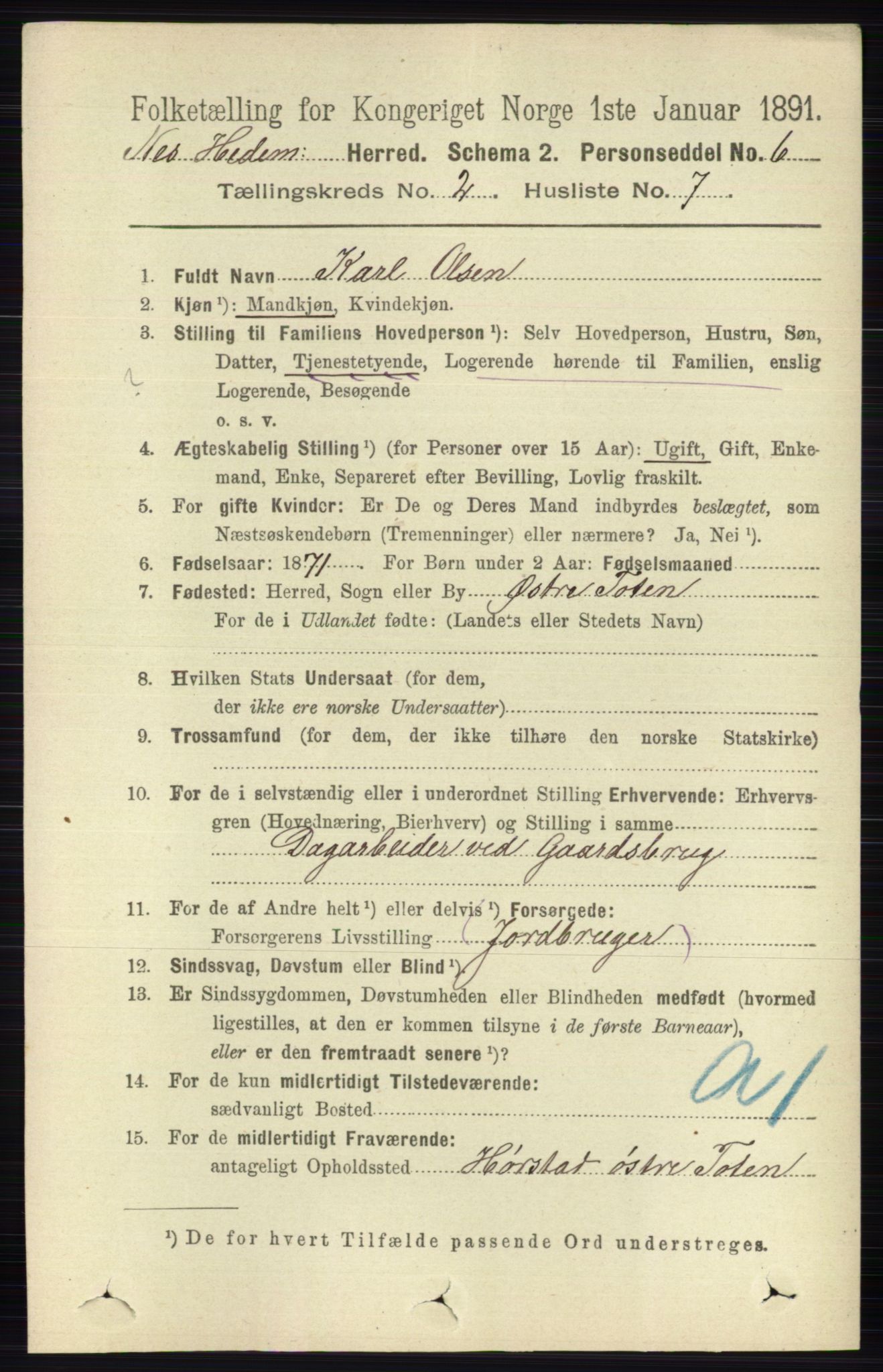 RA, 1891 census for 0411 Nes, 1891, p. 1114