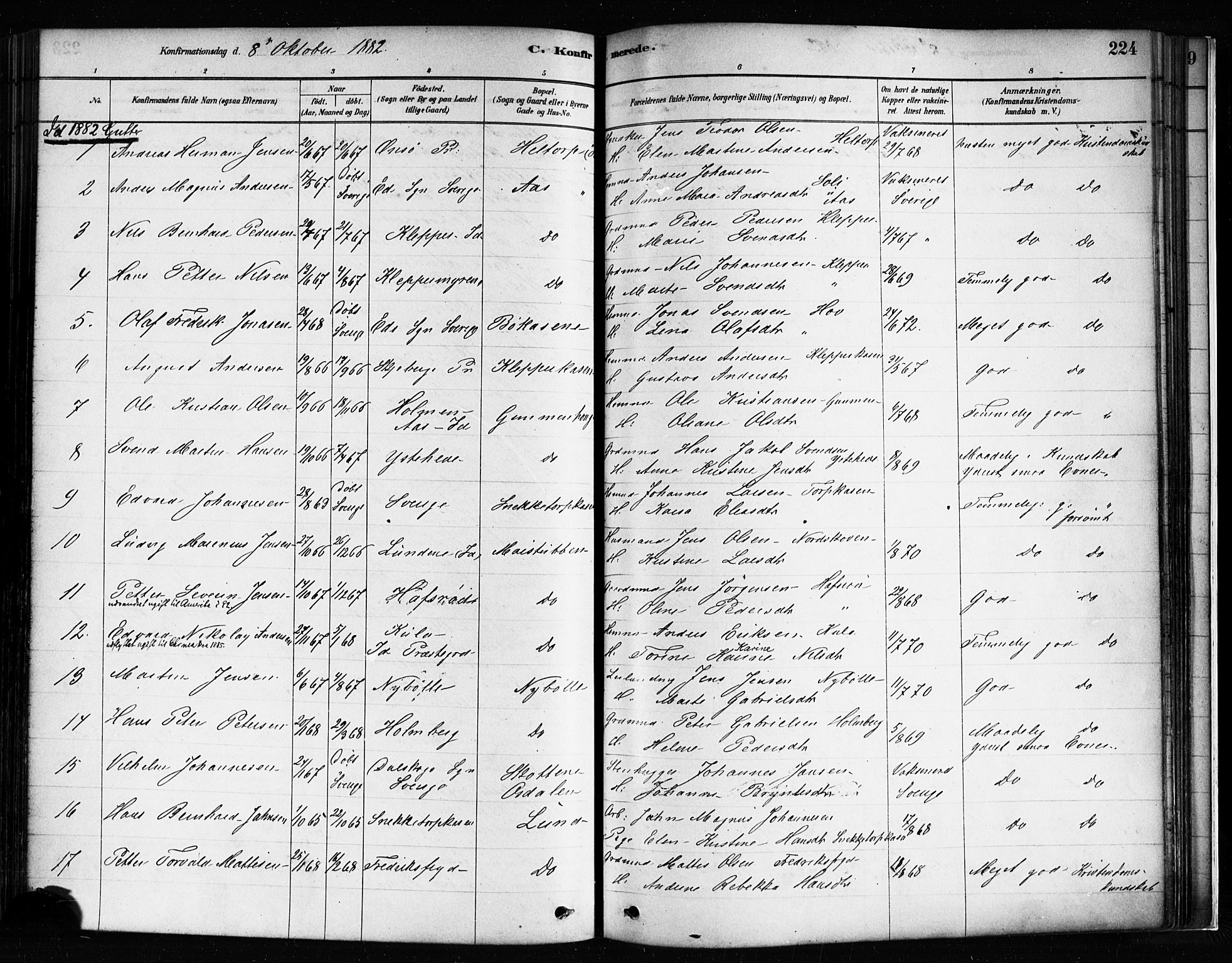 Idd prestekontor Kirkebøker, AV/SAO-A-10911/F/Fc/L0006a: Parish register (official) no. III 6A, 1878-1903, p. 224