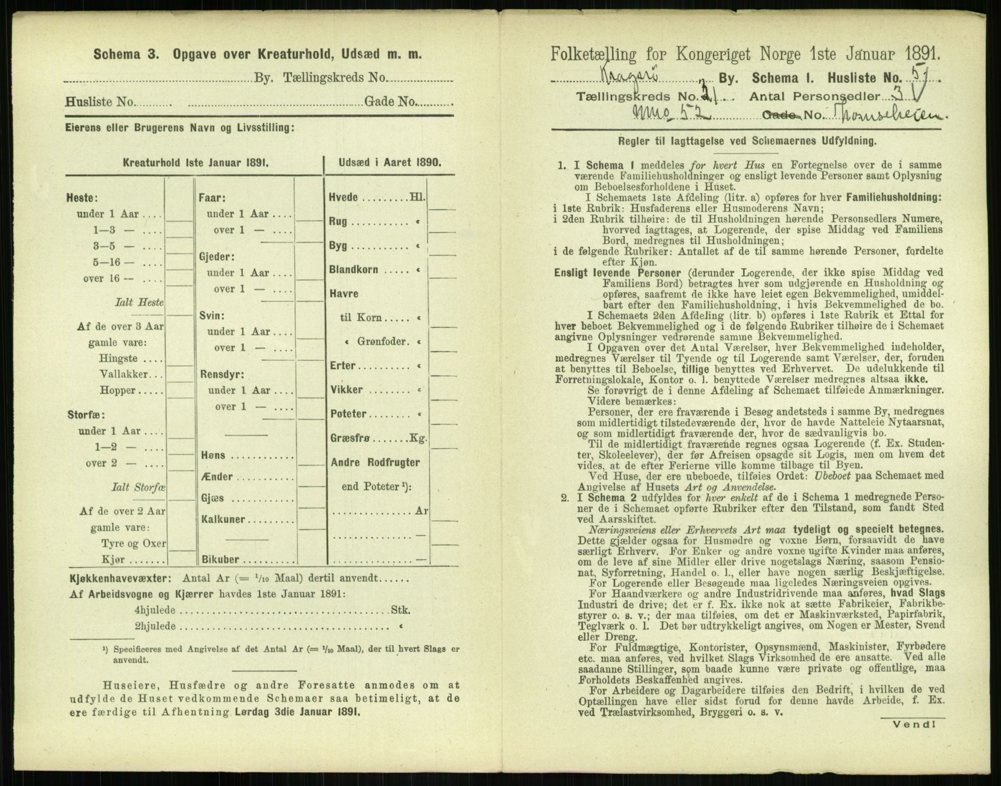 RA, 1891 census for 0801 Kragerø, 1891, p. 1124