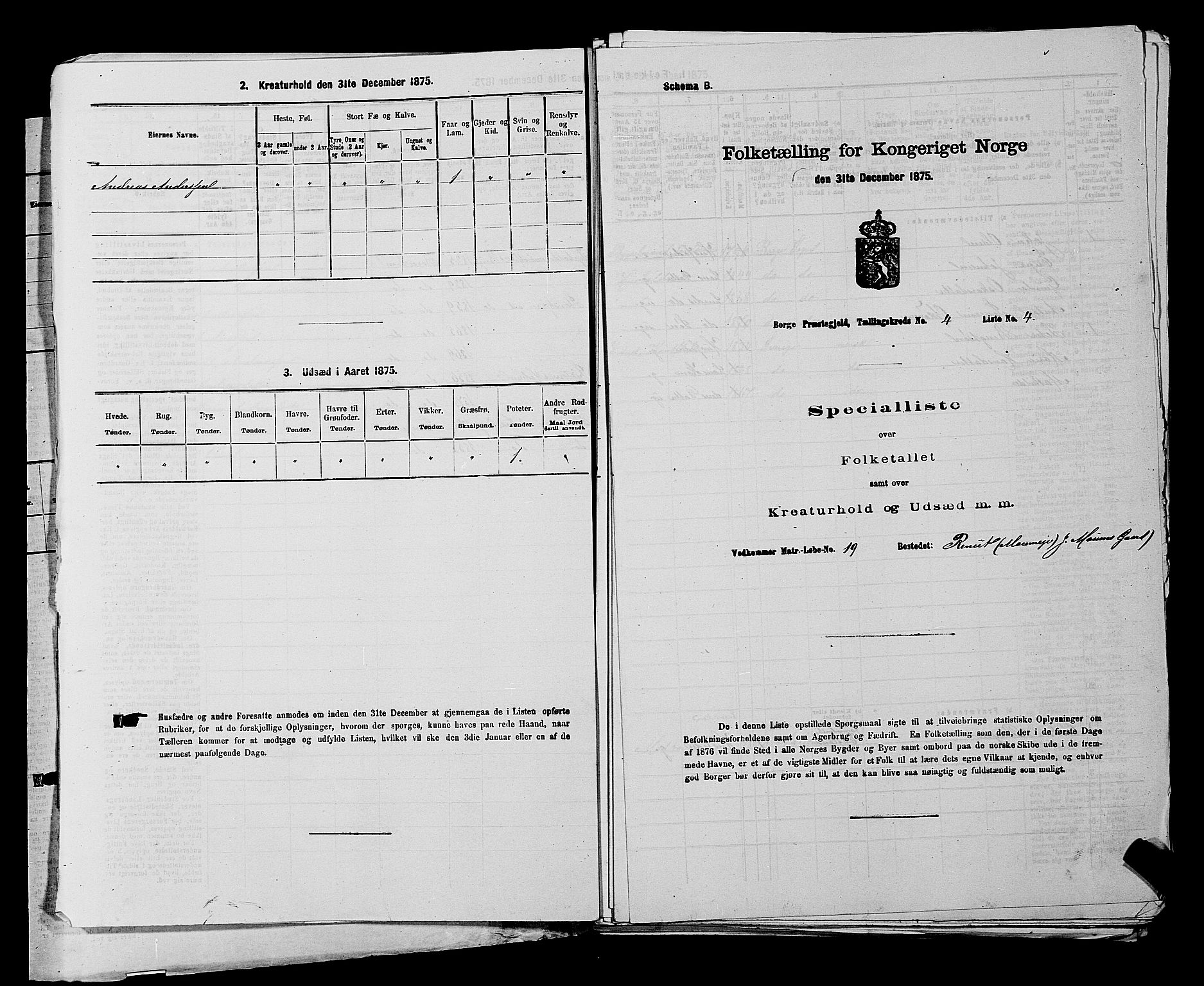 RA, 1875 census for 0113P Borge, 1875, p. 522
