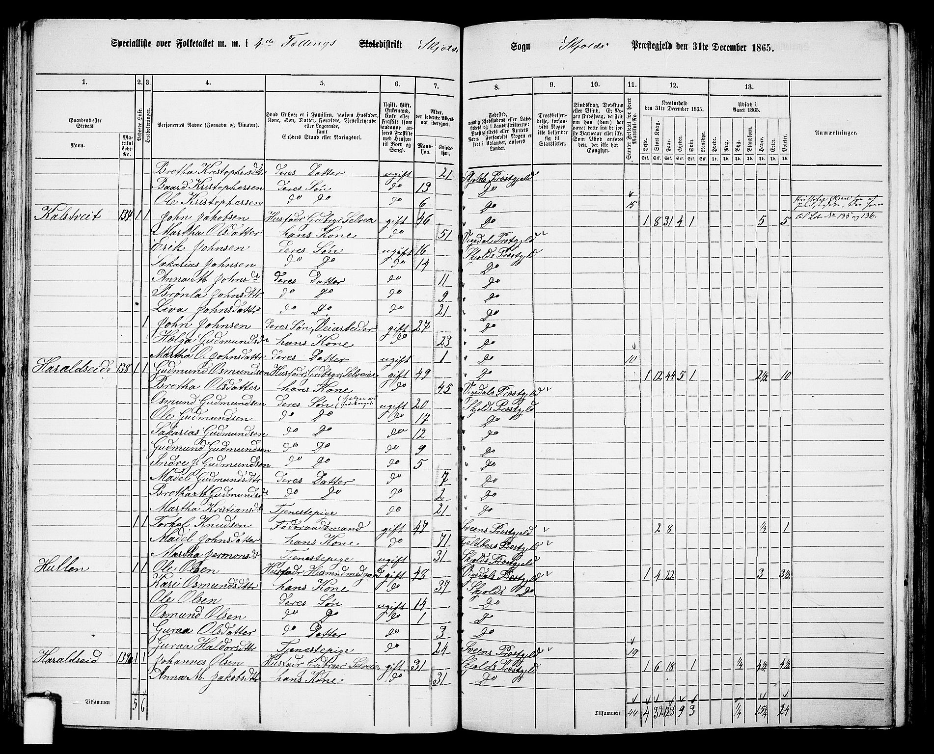 RA, 1865 census for Skjold, 1865, p. 62