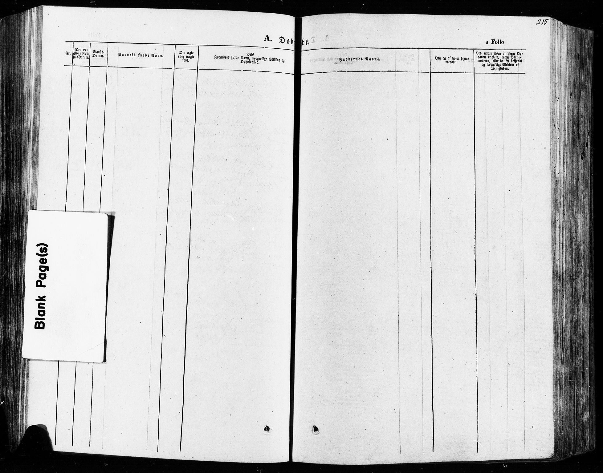 Vågå prestekontor, SAH/PREST-076/H/Ha/Haa/L0007: Parish register (official) no. 7 /2, 1873-1886, p. 215