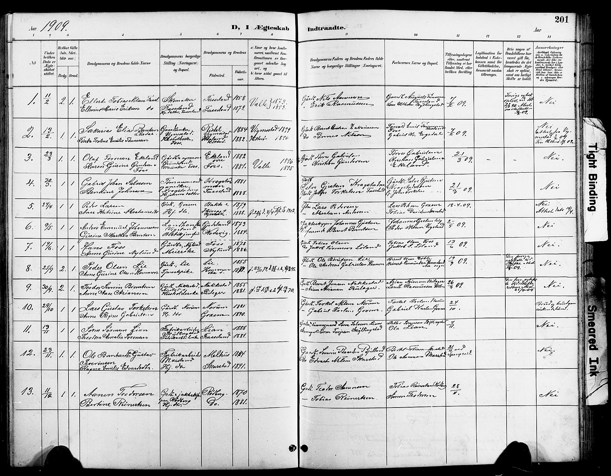 Sør-Audnedal sokneprestkontor, AV/SAK-1111-0039/F/Fb/Fbb/L0006: Parish register (copy) no. B 6, 1893-1915, p. 201