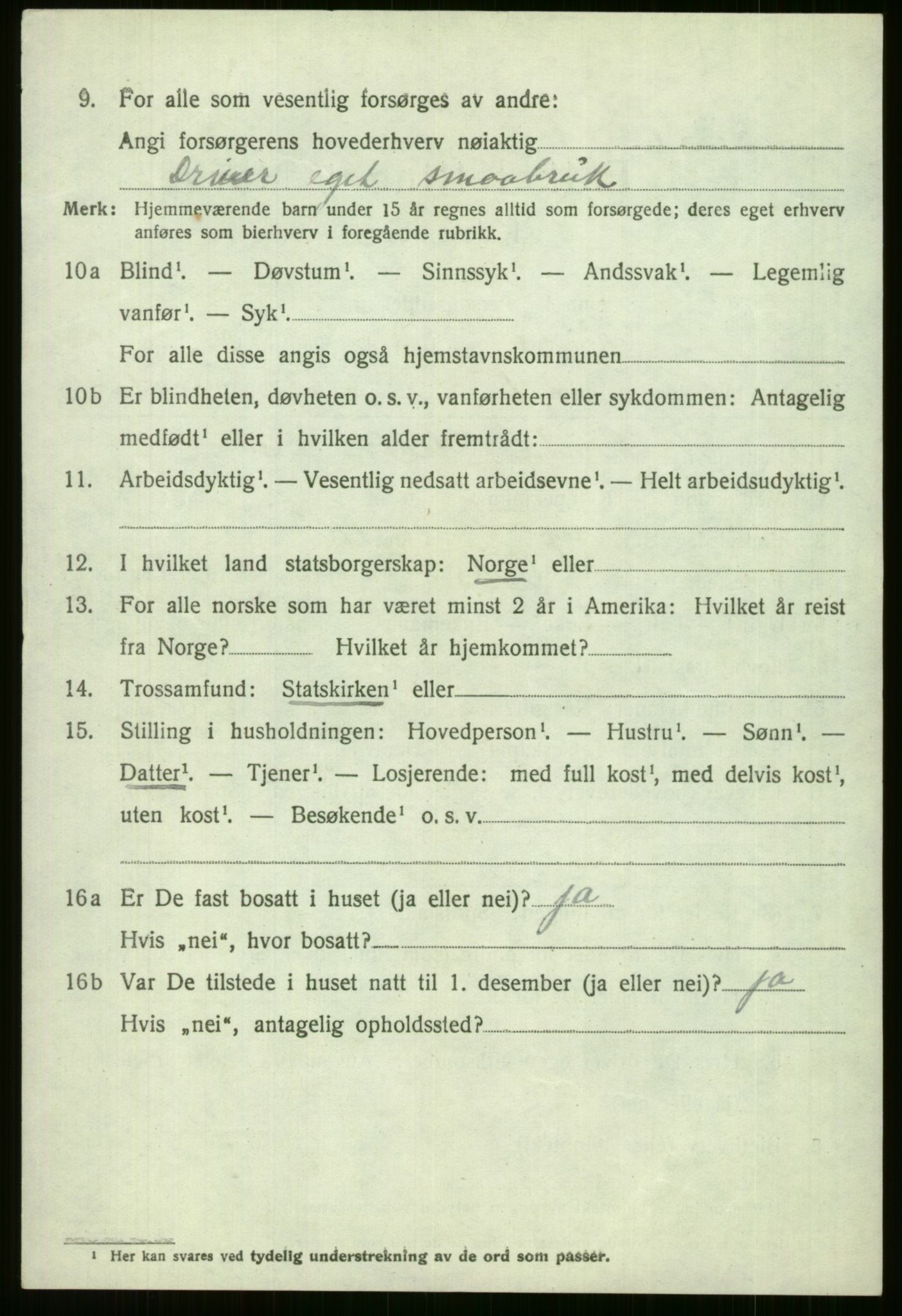 SAB, 1920 census for Voss, 1920, p. 10062