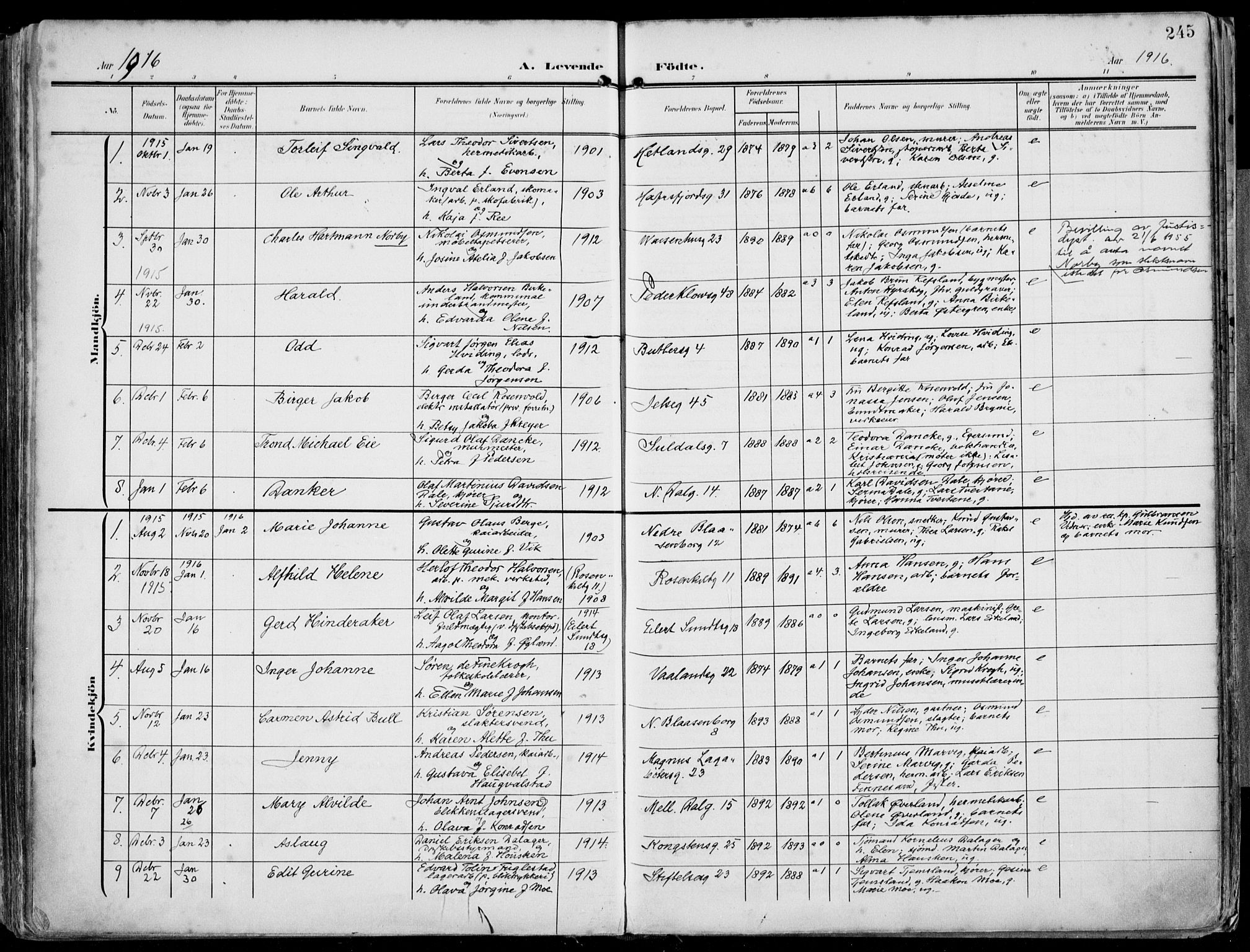 St. Petri sokneprestkontor, AV/SAST-A-101813/002/A/L0005: Parish register (official) no. A 23, 1902-1918, p. 245