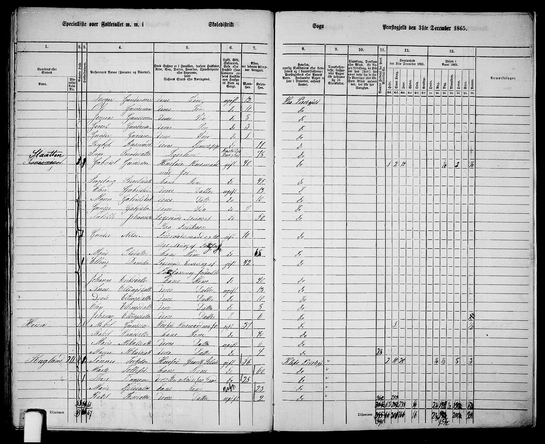 RA, 1865 census for Hå, 1865, p. 120