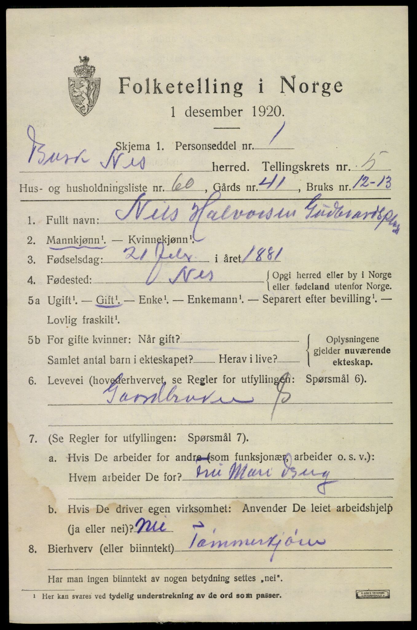 SAKO, 1920 census for Nes (Buskerud), 1920, p. 3044