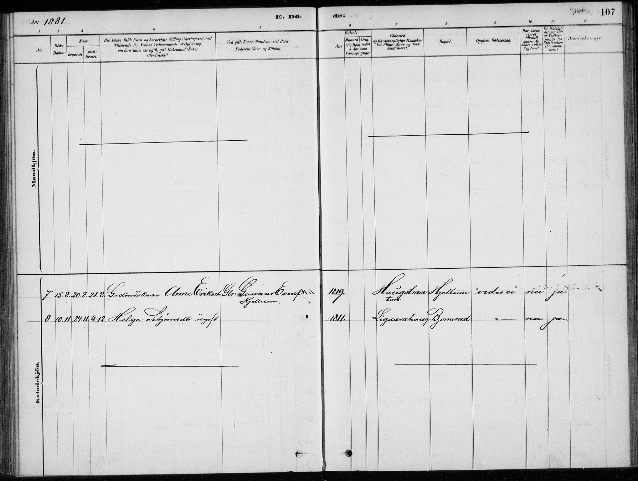 Sigdal kirkebøker, SAKO/A-245/F/Fc/L0001: Parish register (official) no. III 1, 1879-1893, p. 107