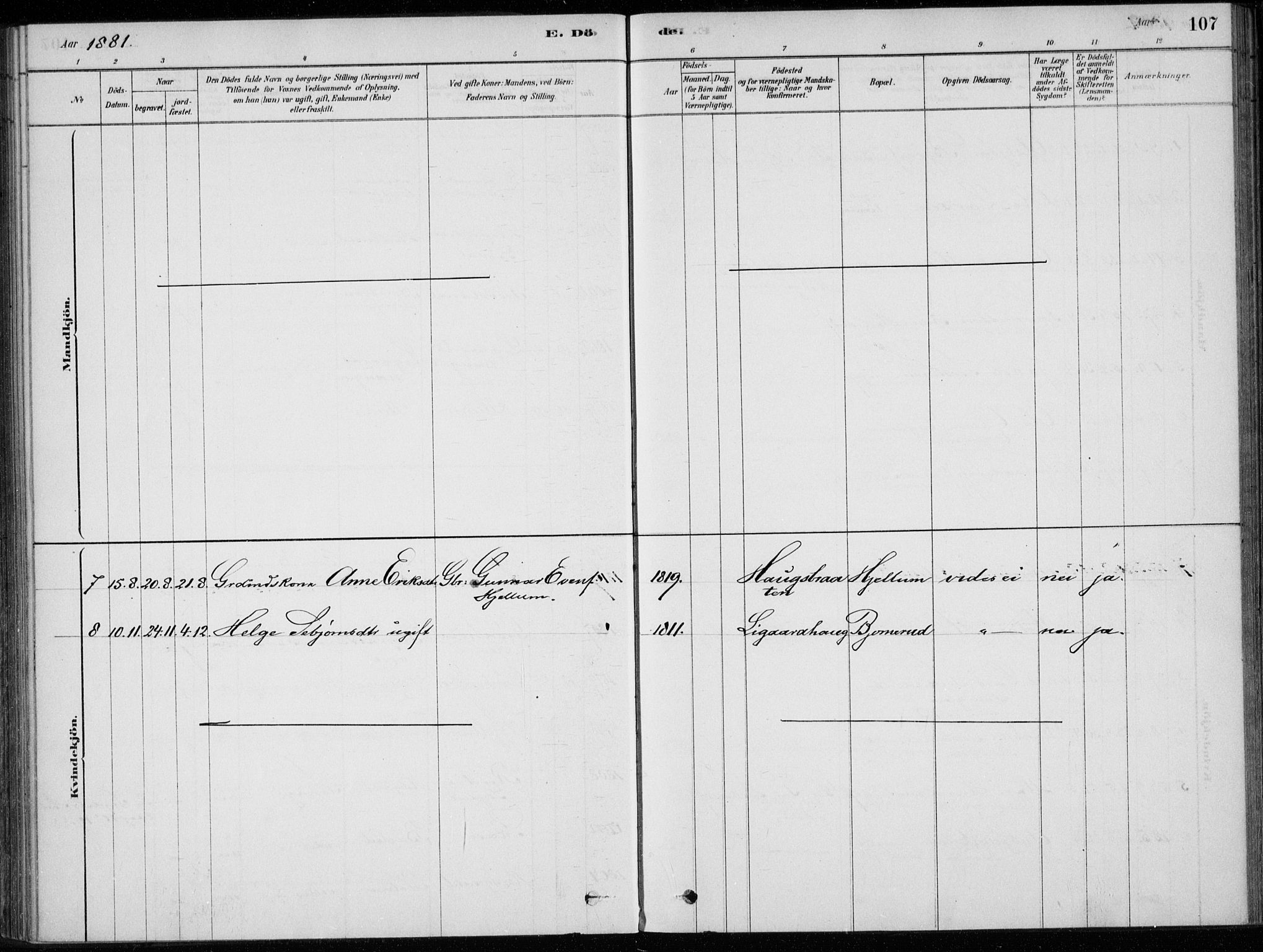 Sigdal kirkebøker, AV/SAKO-A-245/F/Fc/L0001: Parish register (official) no. III 1, 1879-1893, p. 107