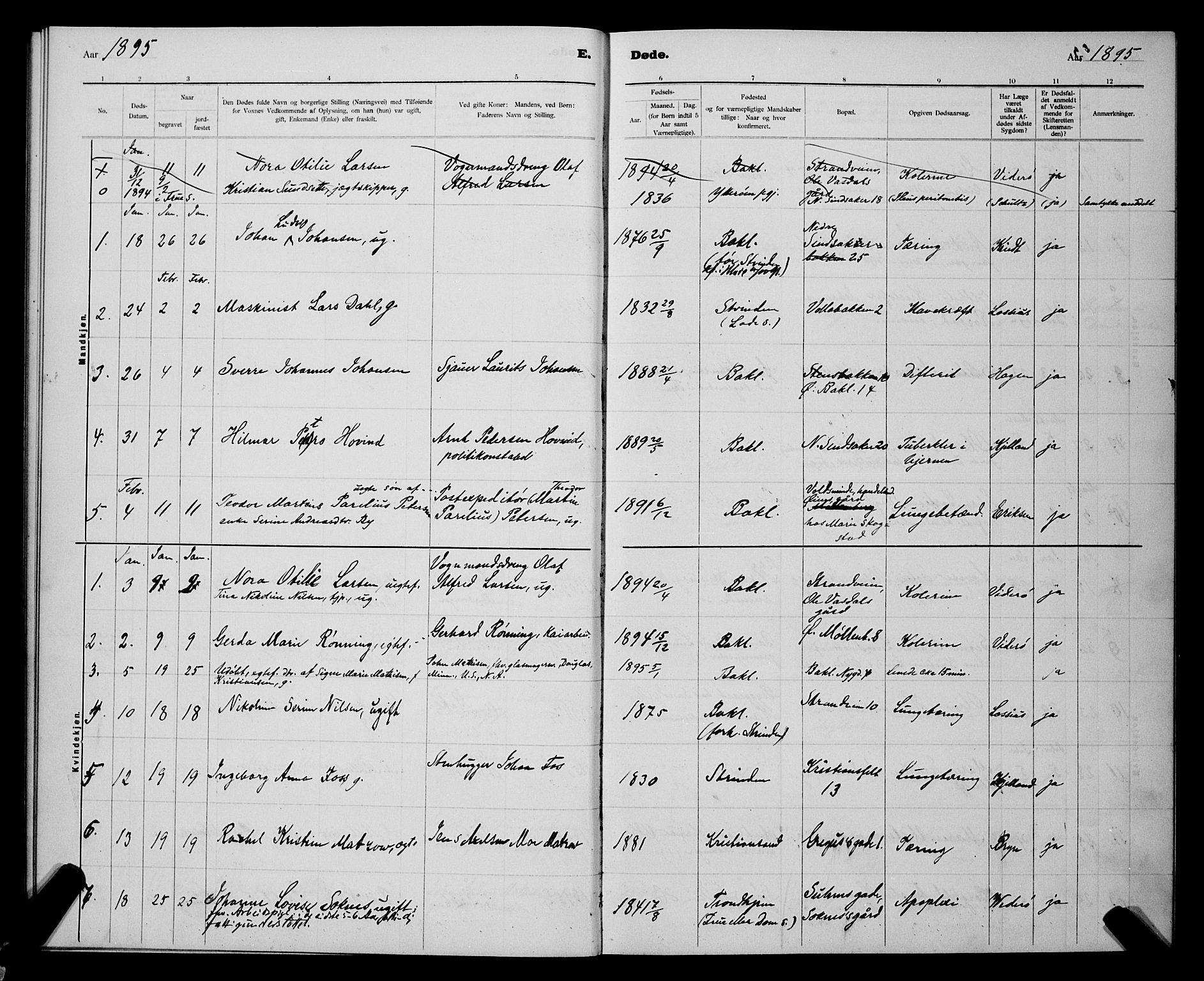 Ministerialprotokoller, klokkerbøker og fødselsregistre - Sør-Trøndelag, SAT/A-1456/604/L0224: Parish register (copy) no. 604C07, 1894-1898