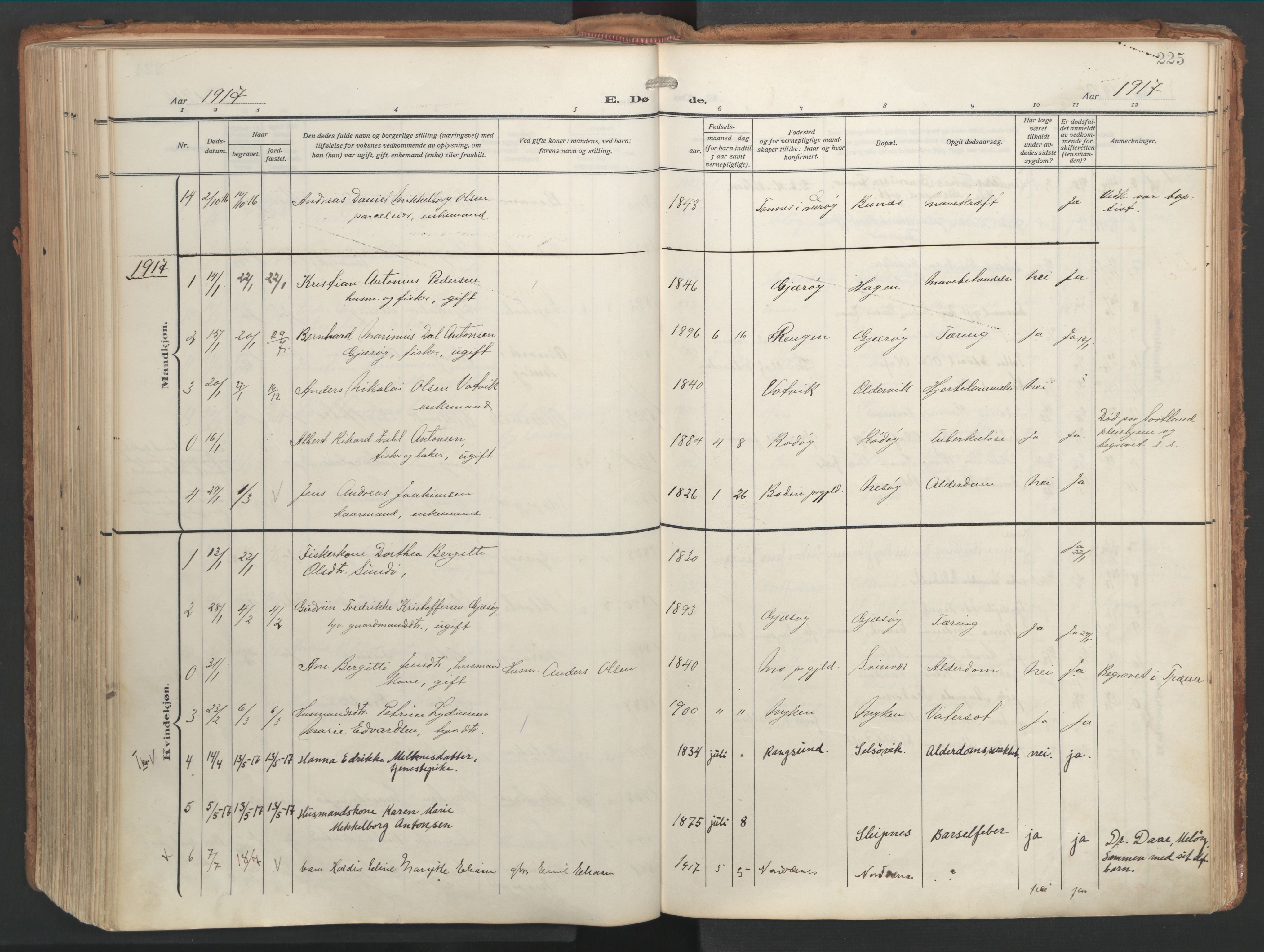 Ministerialprotokoller, klokkerbøker og fødselsregistre - Nordland, AV/SAT-A-1459/841/L0614: Parish register (official) no. 841A17, 1911-1925, p. 225