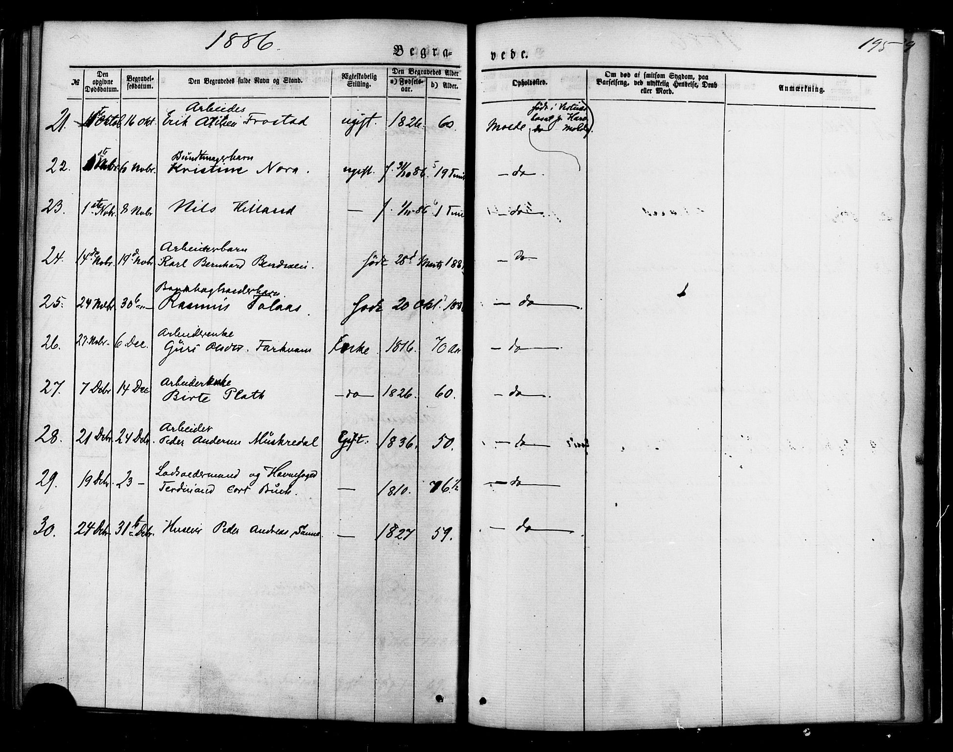 Ministerialprotokoller, klokkerbøker og fødselsregistre - Møre og Romsdal, AV/SAT-A-1454/558/L0691: Parish register (official) no. 558A05, 1873-1886, p. 195