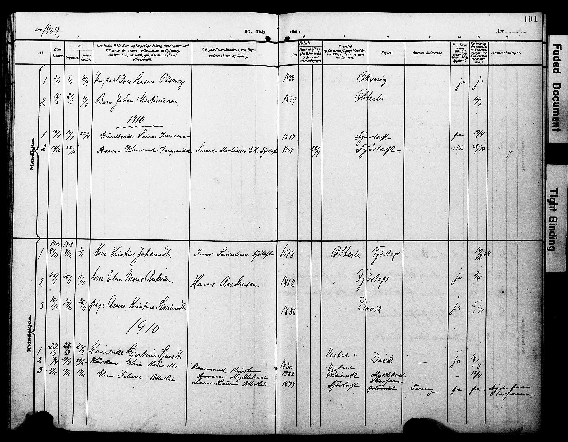 Ministerialprotokoller, klokkerbøker og fødselsregistre - Møre og Romsdal, AV/SAT-A-1454/538/L0524: Parish register (copy) no. 538C02, 1901-1931, p. 191