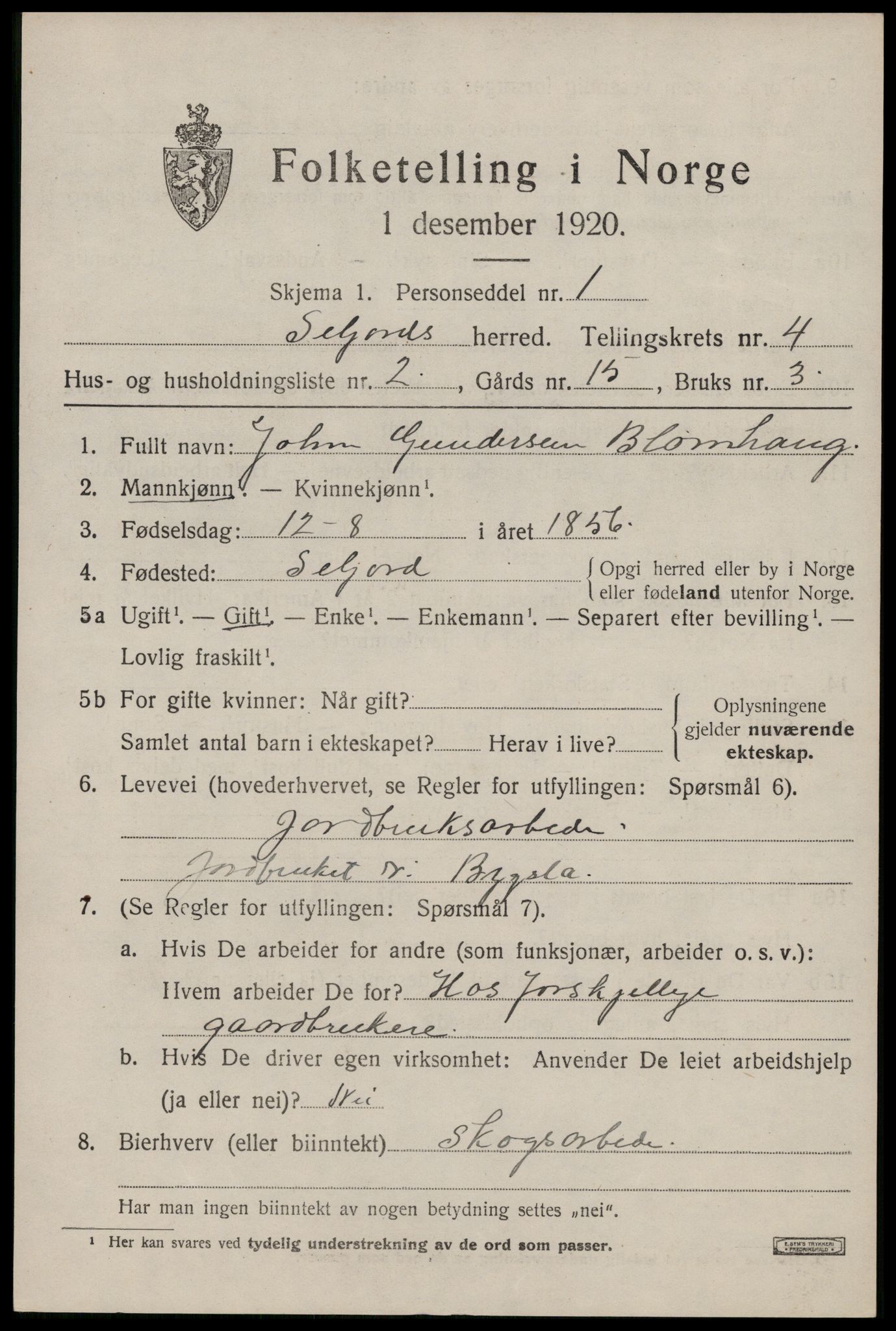 SAKO, 1920 census for Seljord, 1920, p. 2102