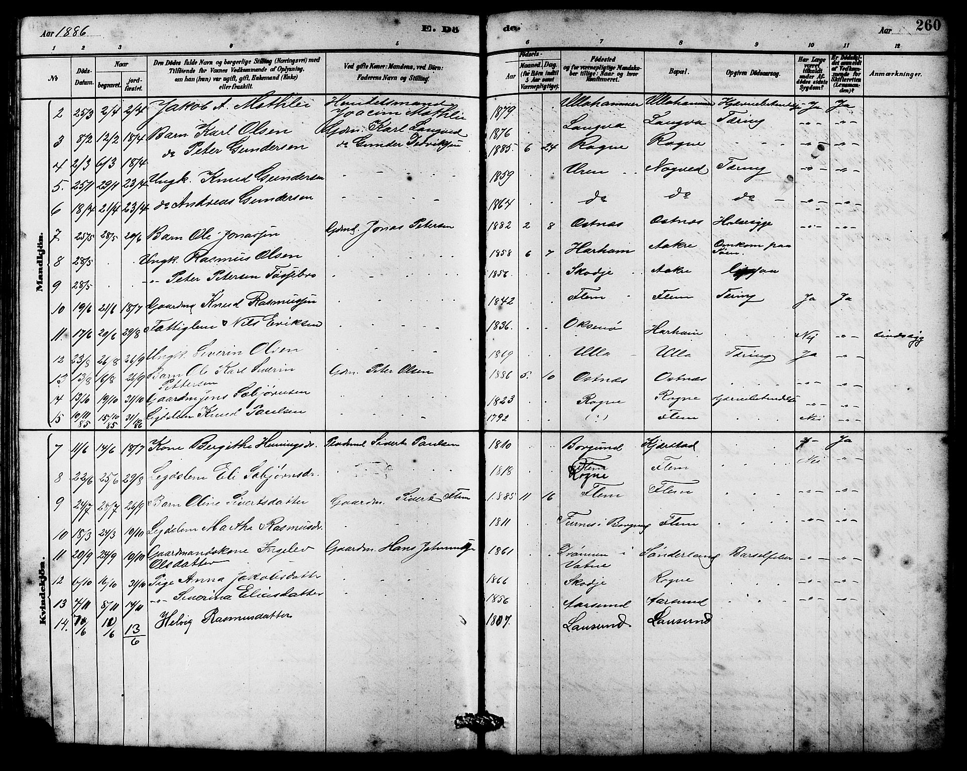 Ministerialprotokoller, klokkerbøker og fødselsregistre - Møre og Romsdal, SAT/A-1454/536/L0510: Parish register (copy) no. 536C05, 1881-1898, p. 260