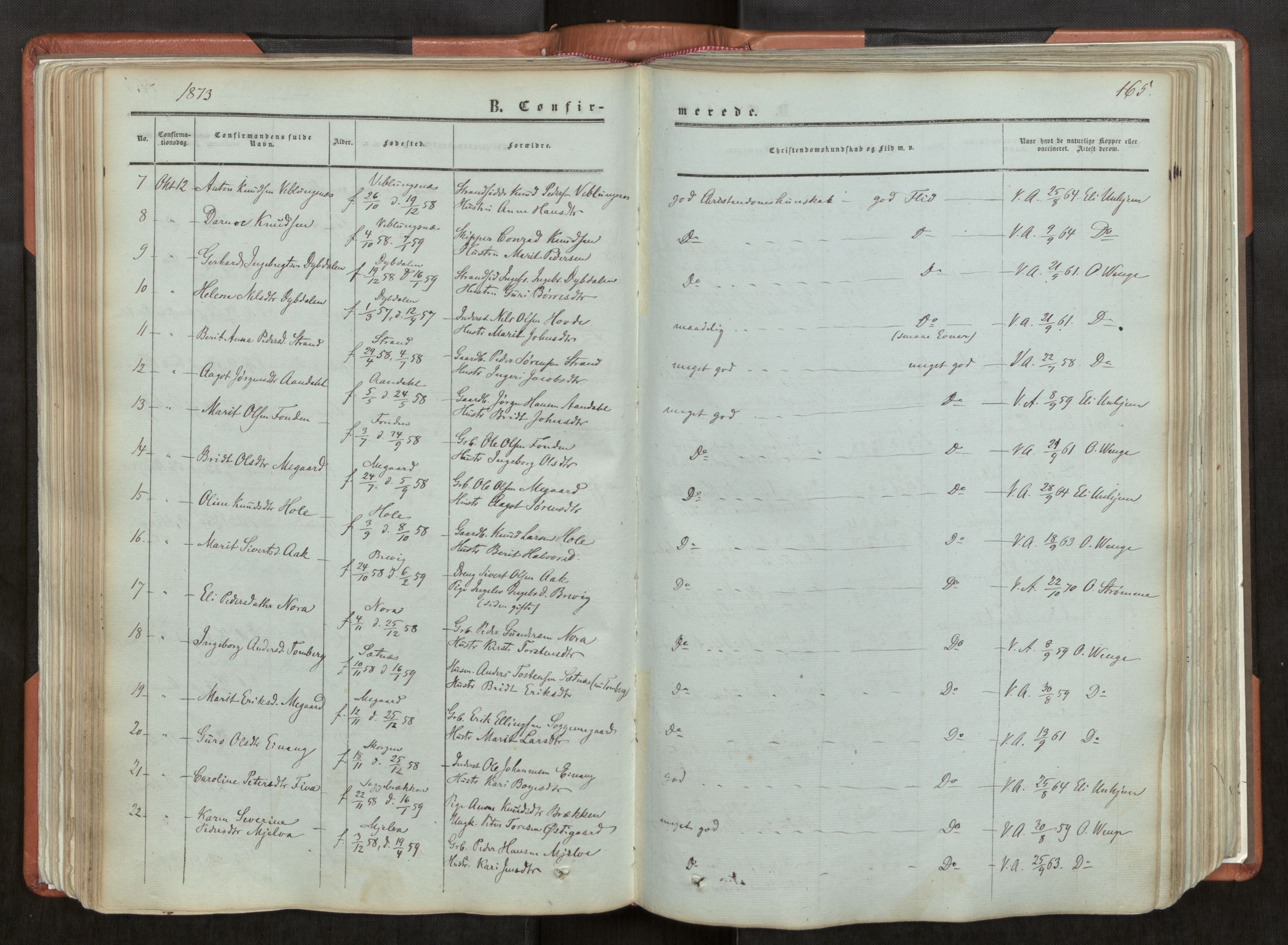 Ministerialprotokoller, klokkerbøker og fødselsregistre - Møre og Romsdal, AV/SAT-A-1454/544/L0572: Parish register (official) no. 544A05, 1854-1886, p. 165