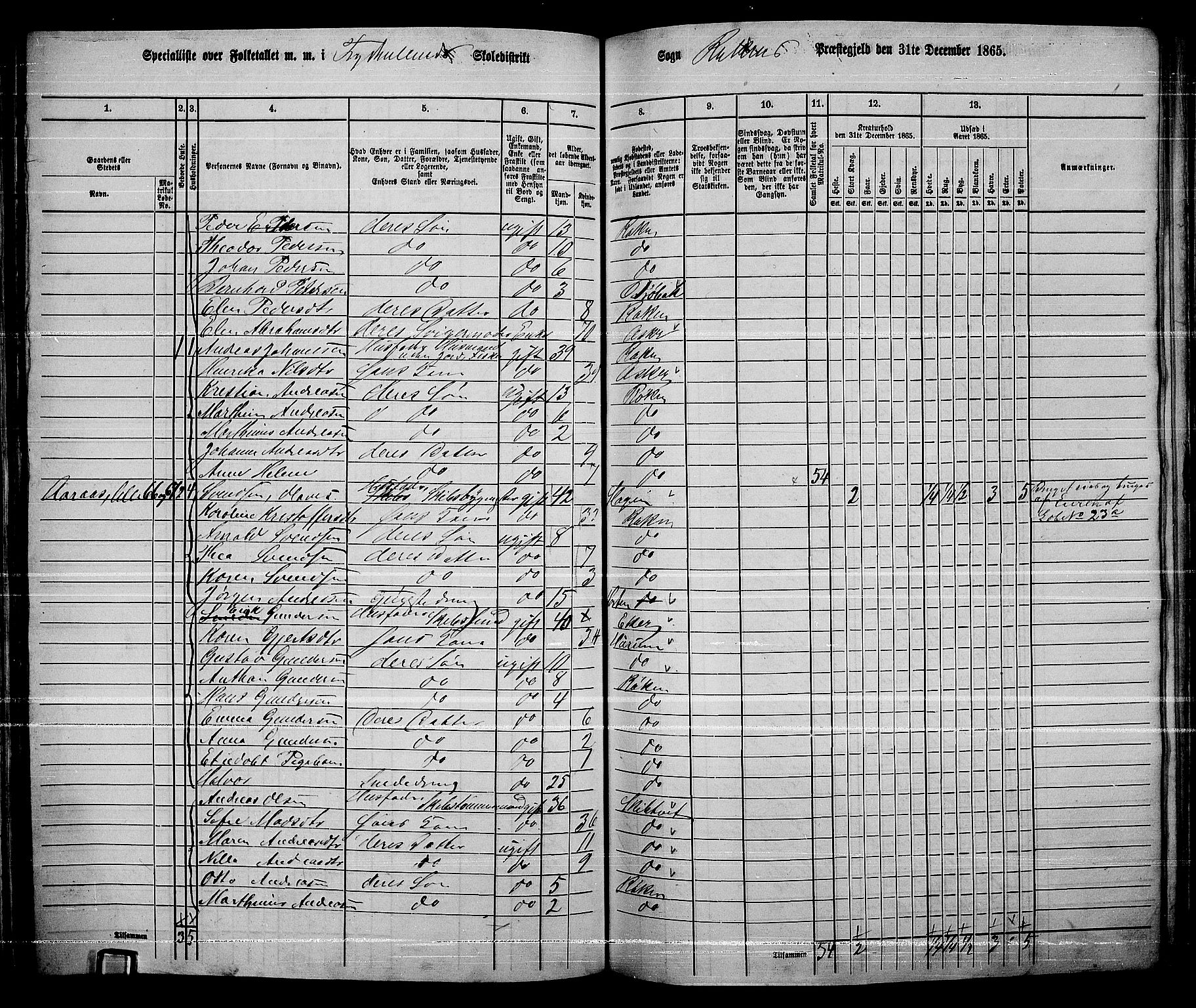 RA, 1865 census for Røyken, 1865, p. 100