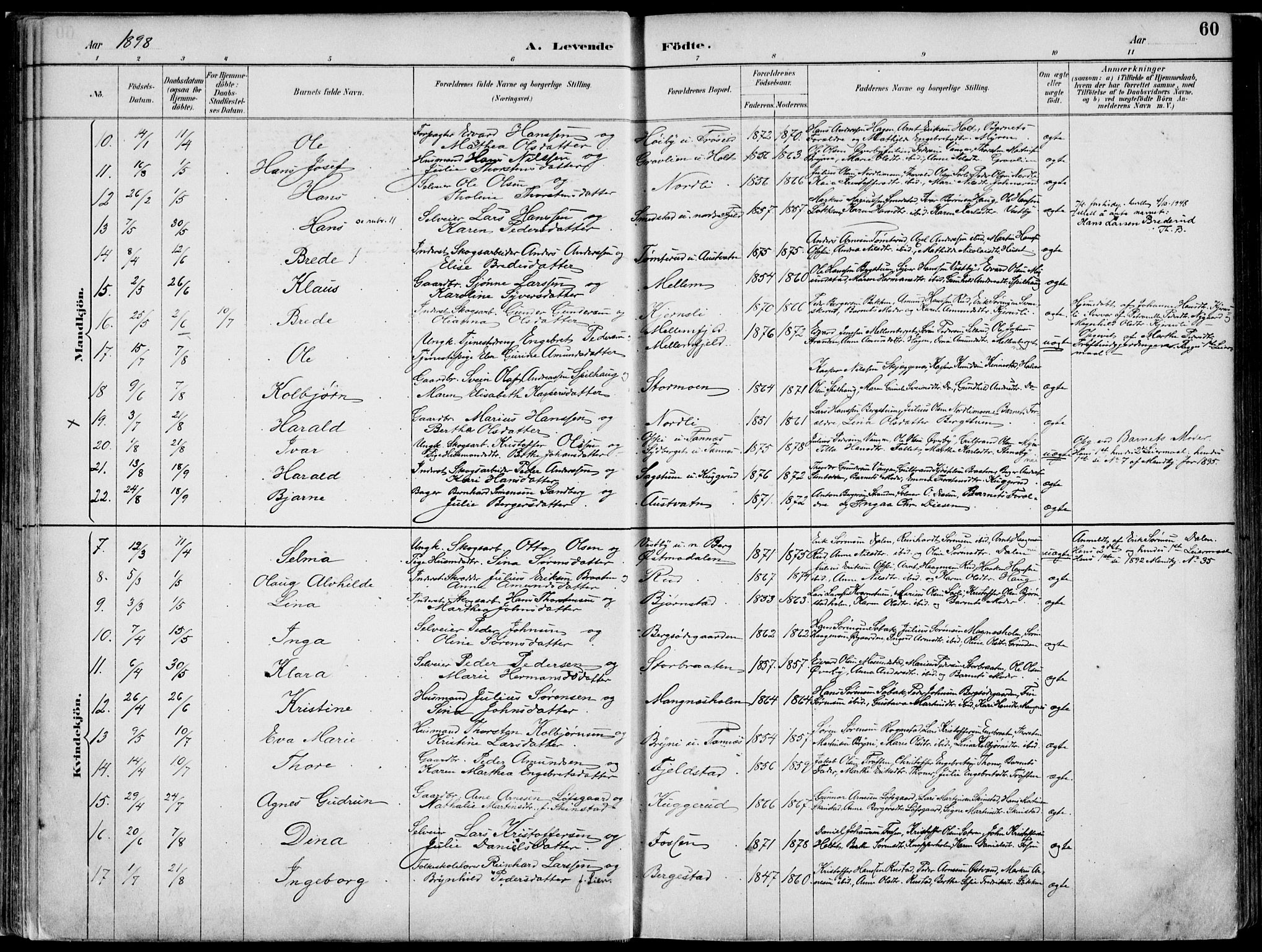 Nord-Odal prestekontor, AV/SAH-PREST-032/H/Ha/Haa/L0008: Parish register (official) no. 8, 1886-1901, p. 60