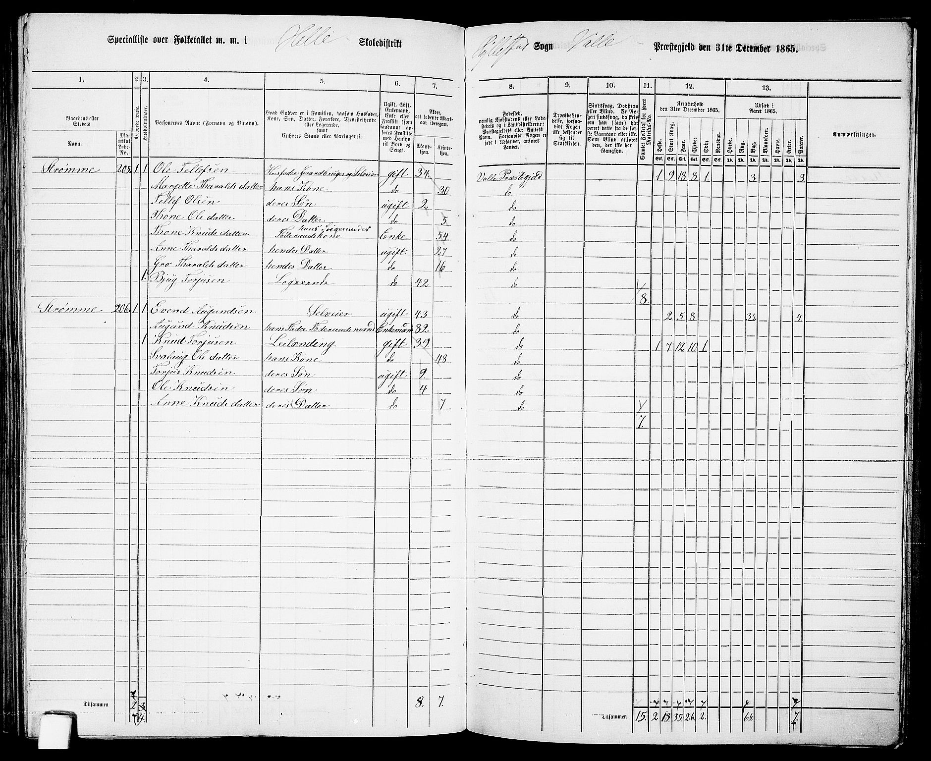 RA, 1865 census for Valle, 1865, p. 134