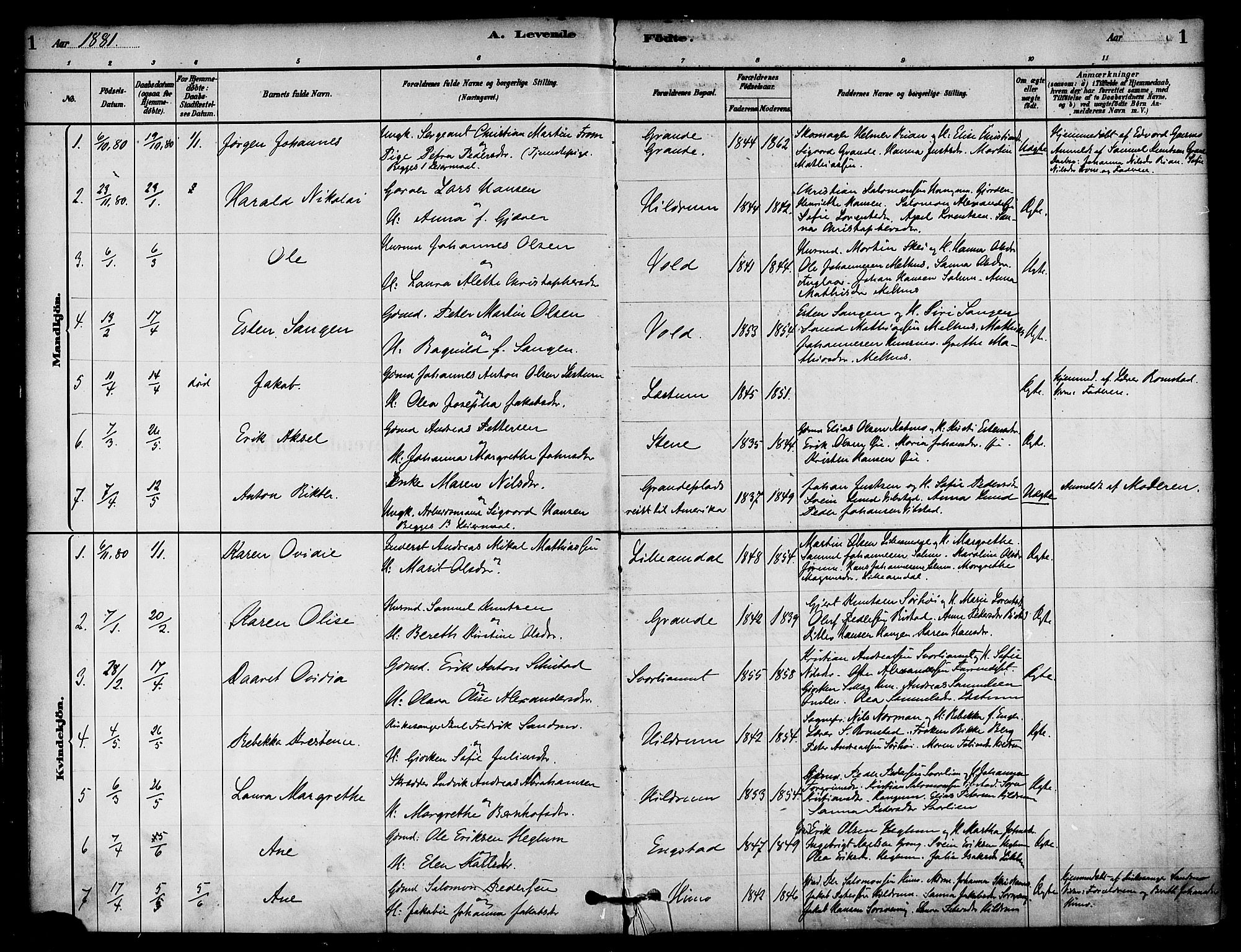 Ministerialprotokoller, klokkerbøker og fødselsregistre - Nord-Trøndelag, AV/SAT-A-1458/764/L0555: Parish register (official) no. 764A10, 1881-1896, p. 1