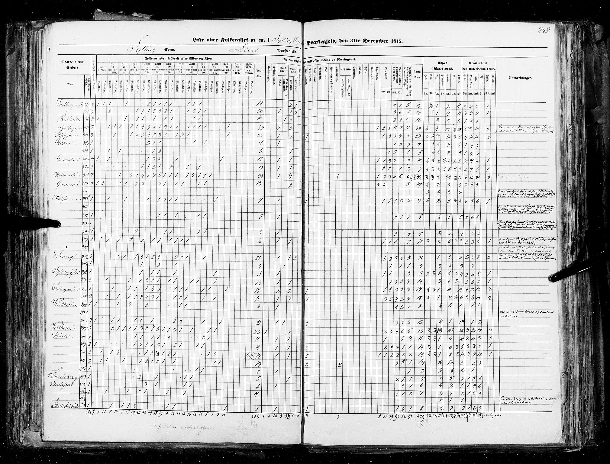 RA, Census 1845, vol. 4: Buskerud amt og Jarlsberg og Larvik amt, 1845, p. 248