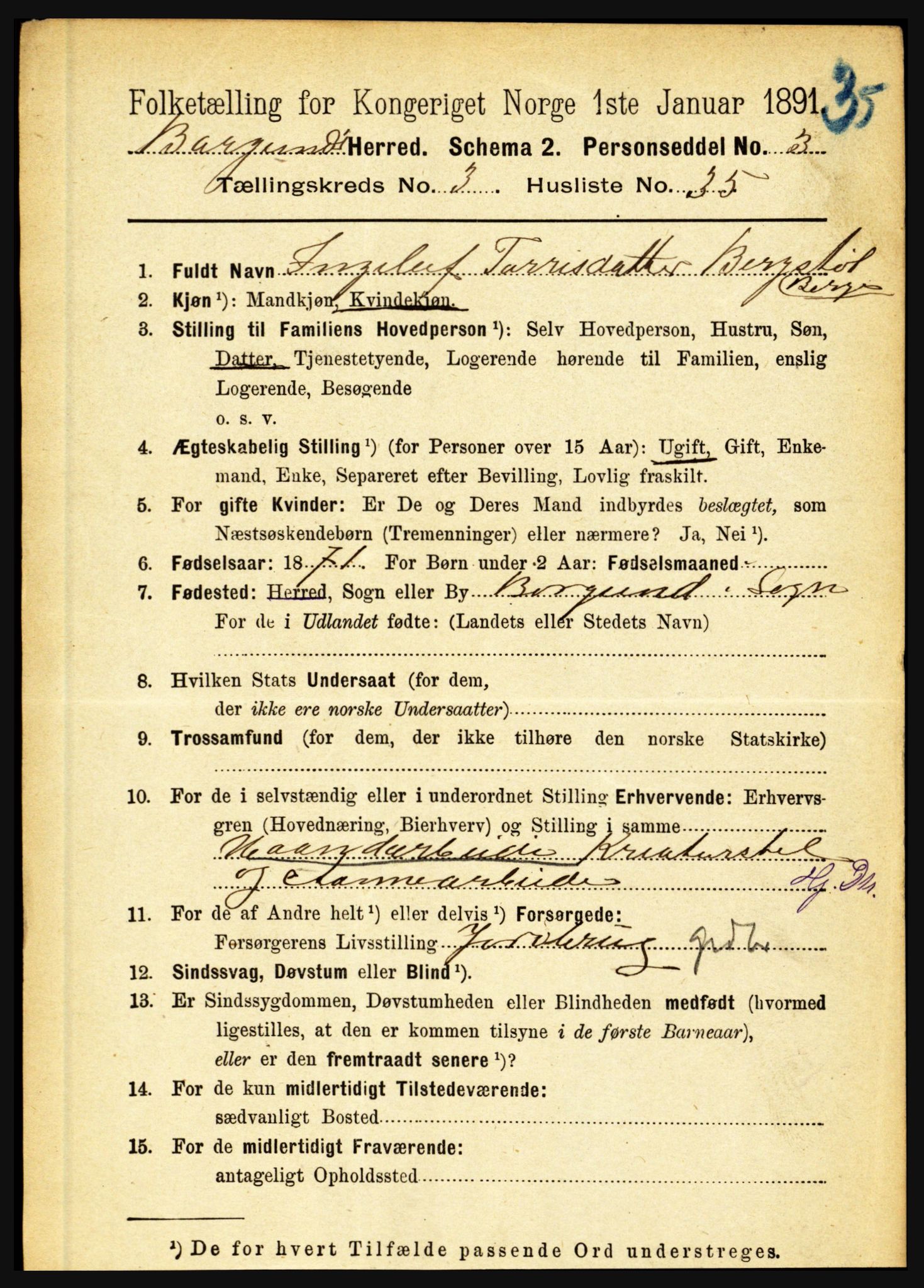 RA, 1891 census for 1423 Borgund, 1891, p. 788