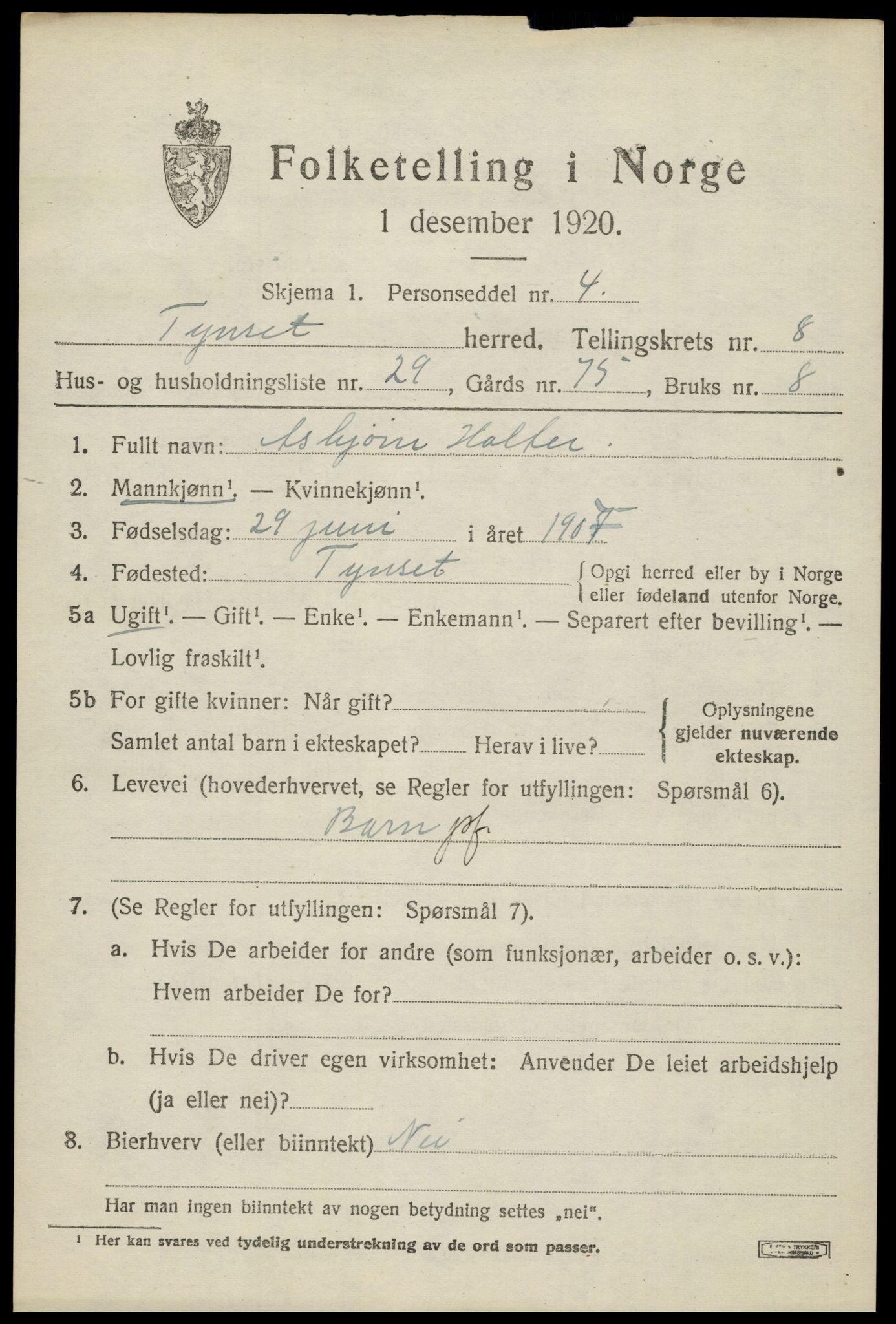 SAH, 1920 census for Tynset, 1920, p. 6910