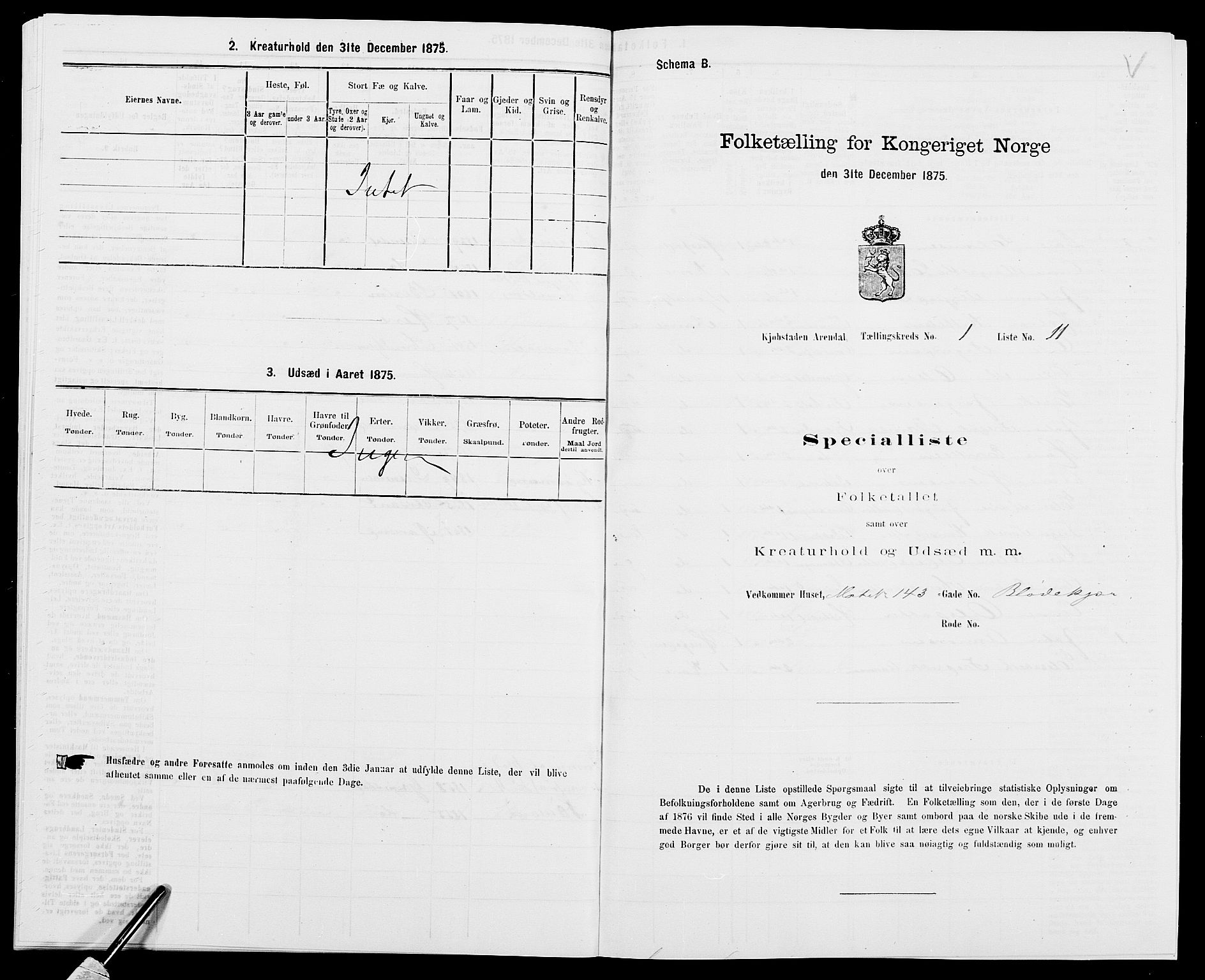 SAK, 1875 census for 0903P Arendal, 1875, p. 31