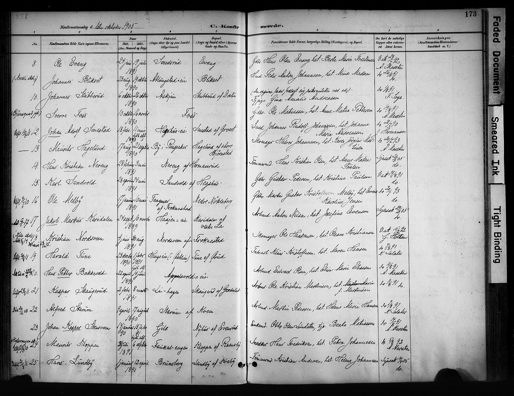 Østre Toten prestekontor, SAH/PREST-104/H/Ha/Haa/L0008: Parish register (official) no. 8, 1897-1909, p. 173